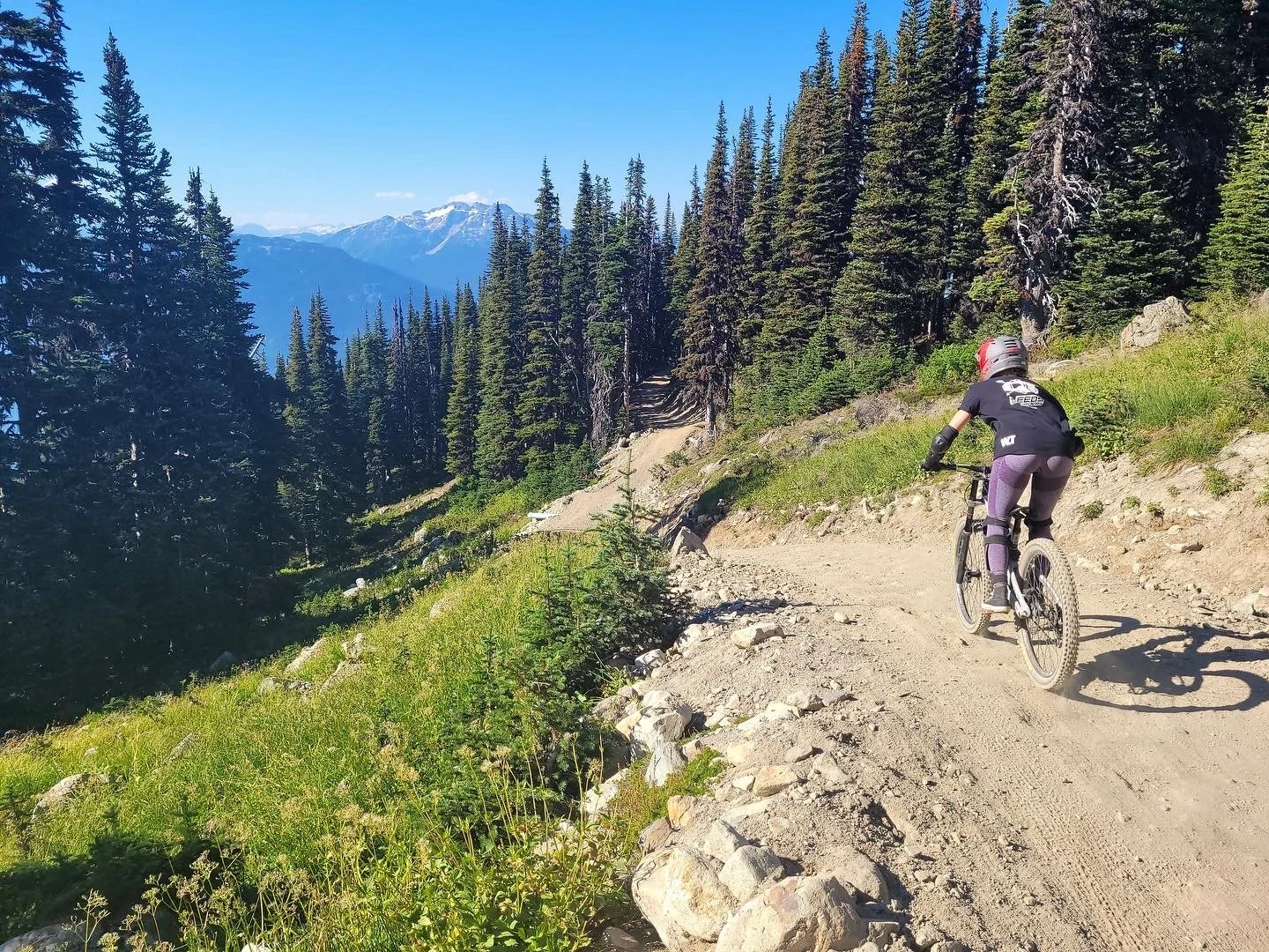 Person mountain biking uphill on a dirt trail through a forested mountain landscape with snow-capped peaks in the background.