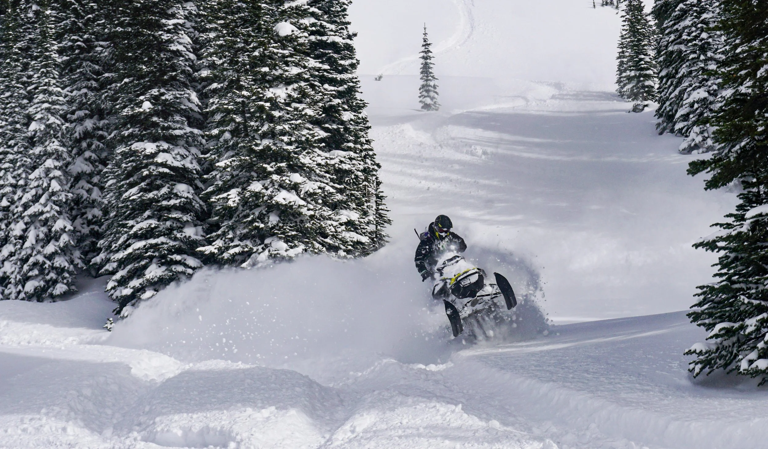 A person riding a snowmobile through a snowy forest with tall evergreen trees covered in snow.