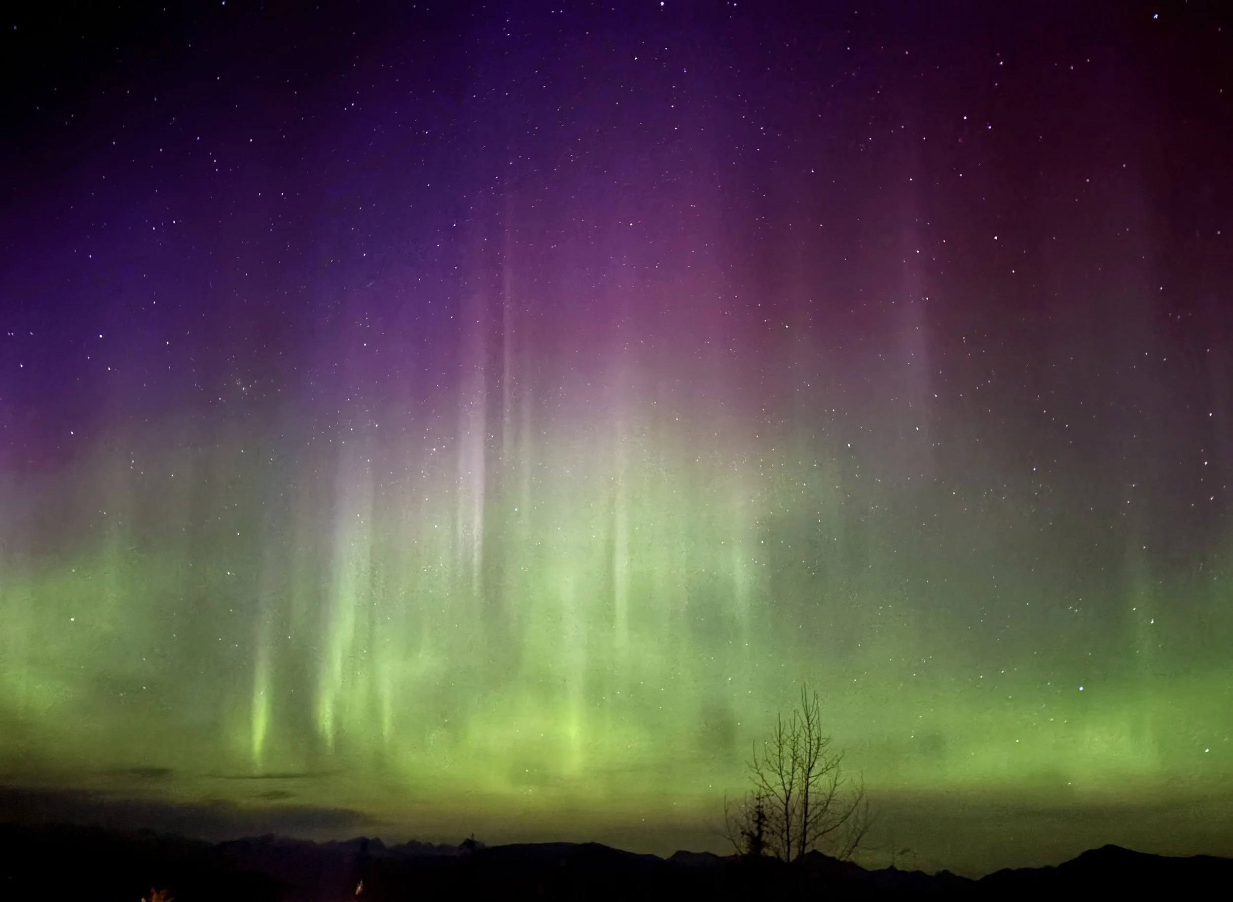 Northern Lights (aurora borealis) in the night sky, with green and purple hues, over a silhouette of trees and mountains.