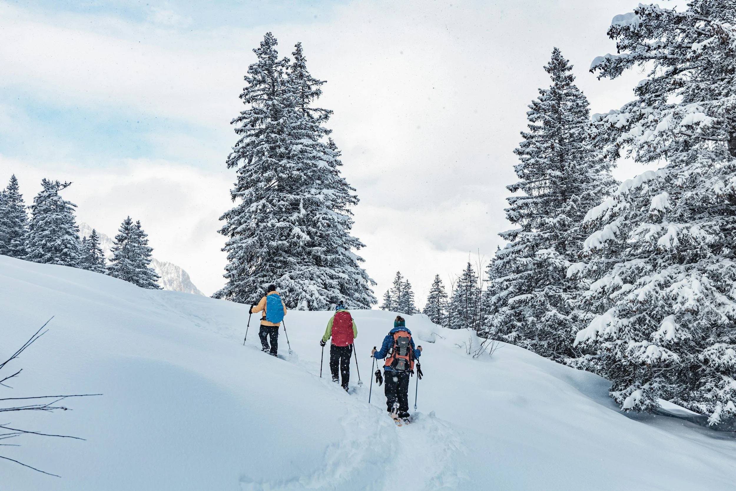 A group of people winter hiking through snow-covered forest with tall evergreen trees and a cloudy sky.