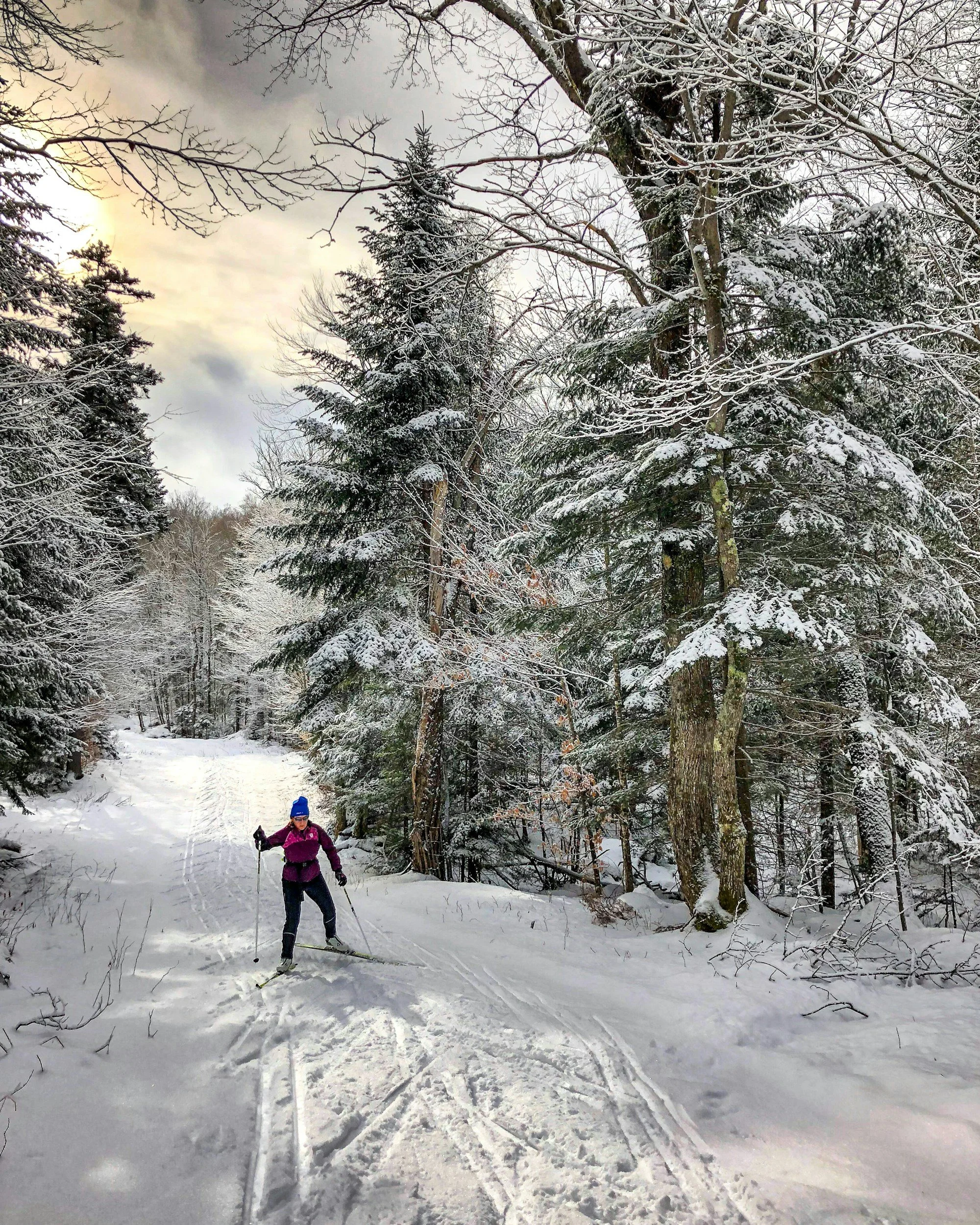 Person cross-country skiing through a snow-covered forest trail surrounded by tall trees with snow on their branches on a winter day.