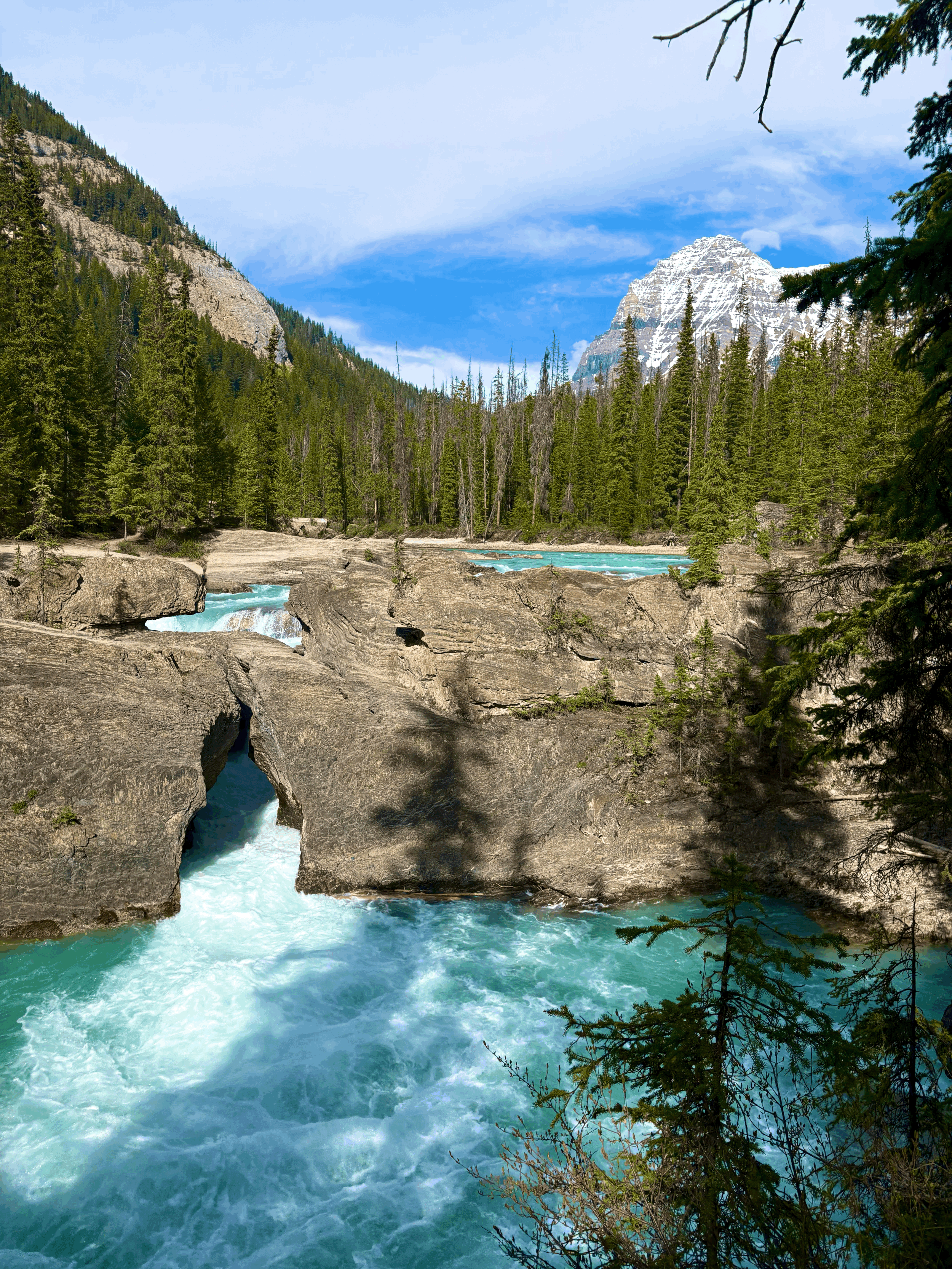 A Perfect 3-Day Itinerary At Vagabond Lodge (Summer Adventure Edition).