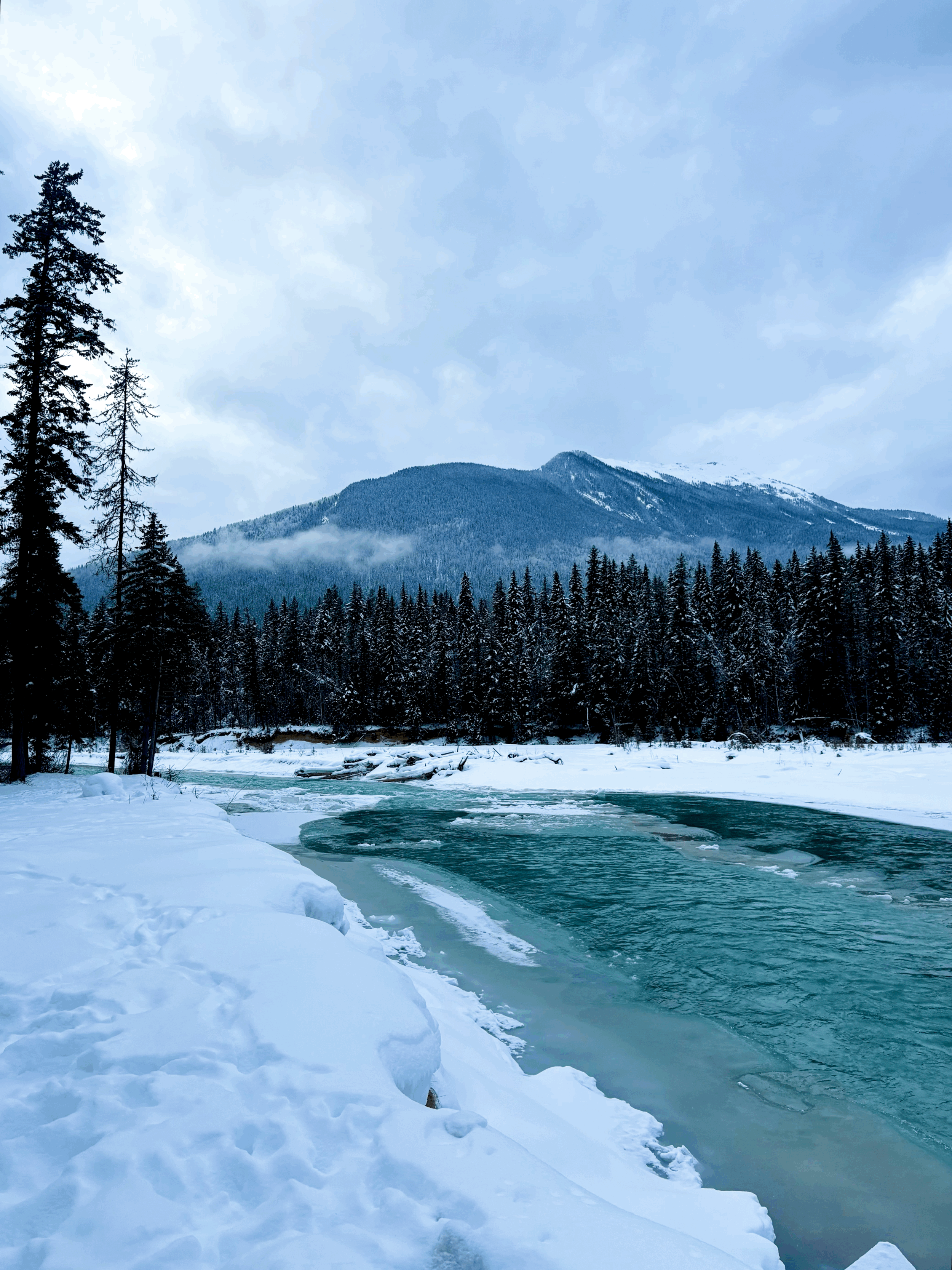 When Is the Best Time to Visit Golden, BC? (Summer vs Winter Guide).