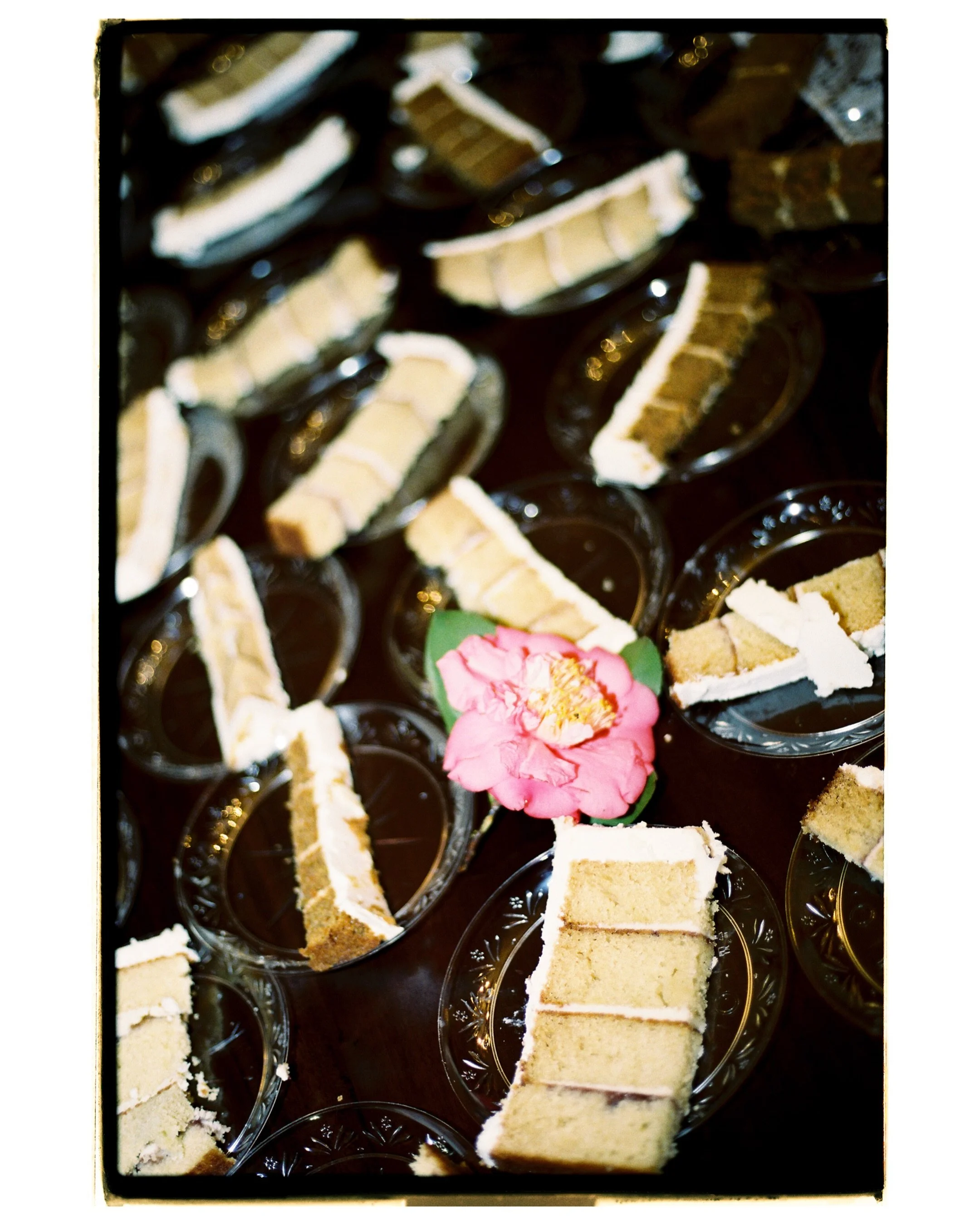 Let them eat cake! 
Some fun film from The Thompson&rsquo;s wedding reception; their crew knew how to party! &amp; Shannon is truly *The People&rsquo;s Bride* ✨ more on that later 🎞️🪩⚡️🍾
im obvi really loving a reception carousel post rn 

Ceremon