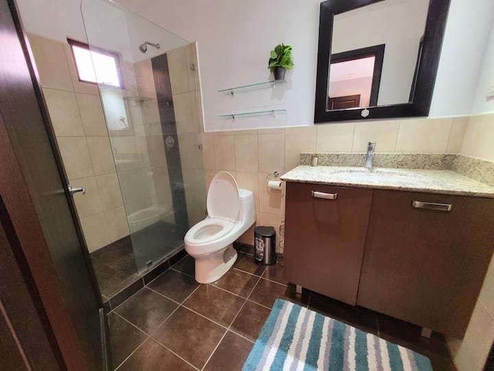 Bathroom with a glass-enclosed shower, white toilet, brown vanity with granite countertop, mirror, wall-mounted shelves with a small plant, striped rug, and tiled walls and floor.