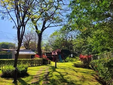 A backyard with green grass, trees, and bushes, featuring a playset with a slide and climbing structure, enclosed by a fence.