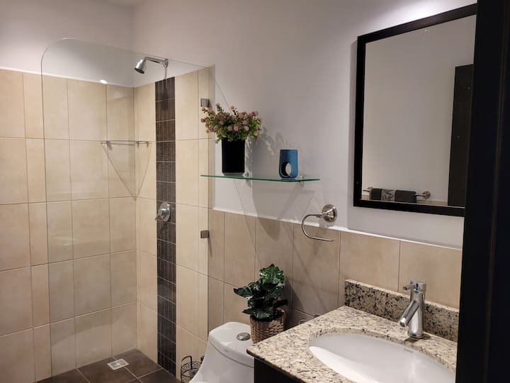 Bathroom with a shower area, a toilet, and a sink with granite countertop. There is a mirror above the sink, a glass shelf with a flower vase and a blue decorative item, and a plant near the toilet. The shower has a glass partition and beige tiles wi