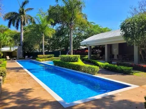 A backyard with a long rectangular swimming pool, palm trees, lush green bushes, and a house with a white roof under a clear blue sky.