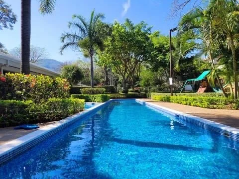 Outdoor swimming pool surrounded by palm trees and greenery under a clear blue sky.