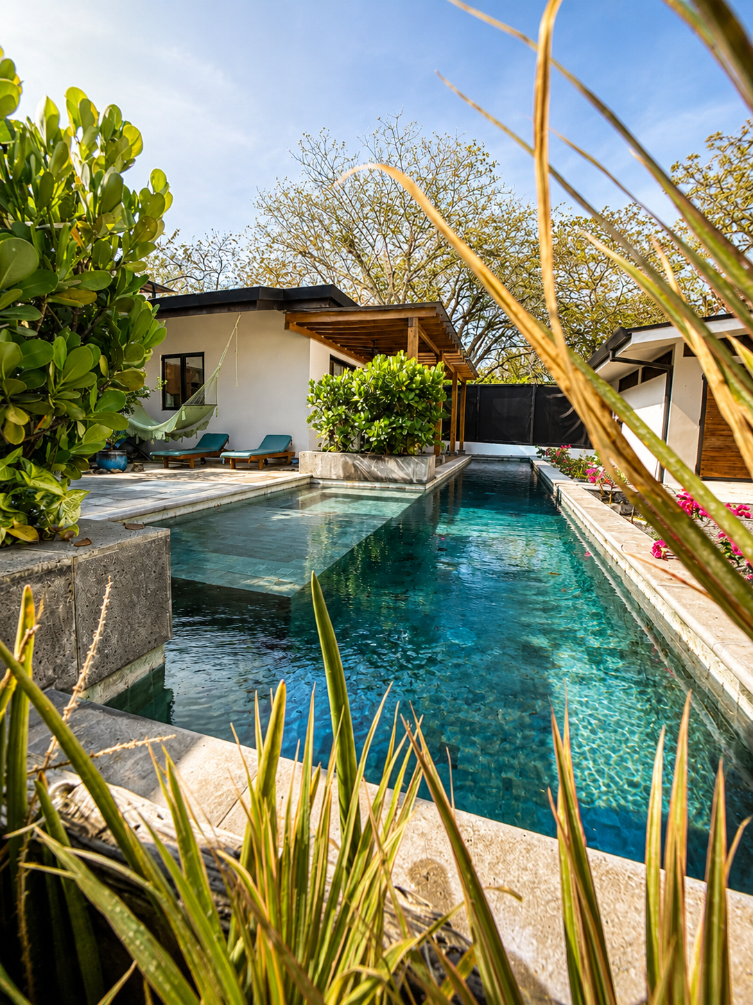 A luxurious backyard with a swimming pool, lounge chairs, lush green plants, and a hammock under a clear blue sky.