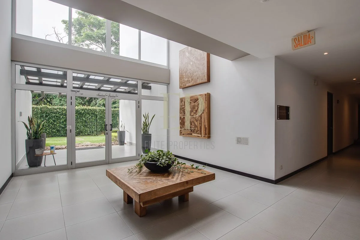Modern lobby with glass doors leading to greenery exterior, wall art, potted plants, and a wooden table with a plant on it.