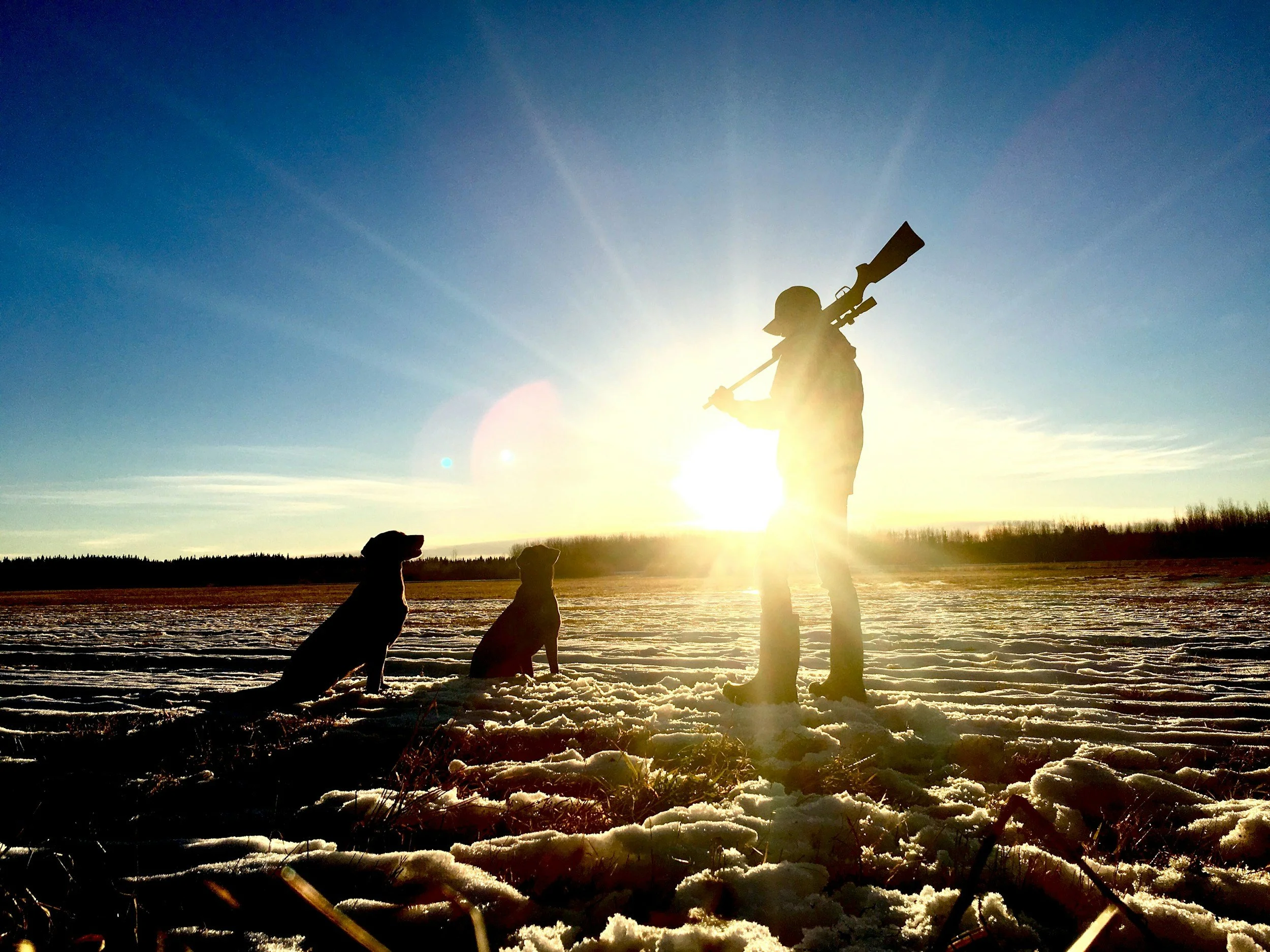 A person standing outdoors during sunset, holding a large telescope on their shoulder, with two dogs sitting on the snow-covered ground nearby, and a vast open landscape in the background.
