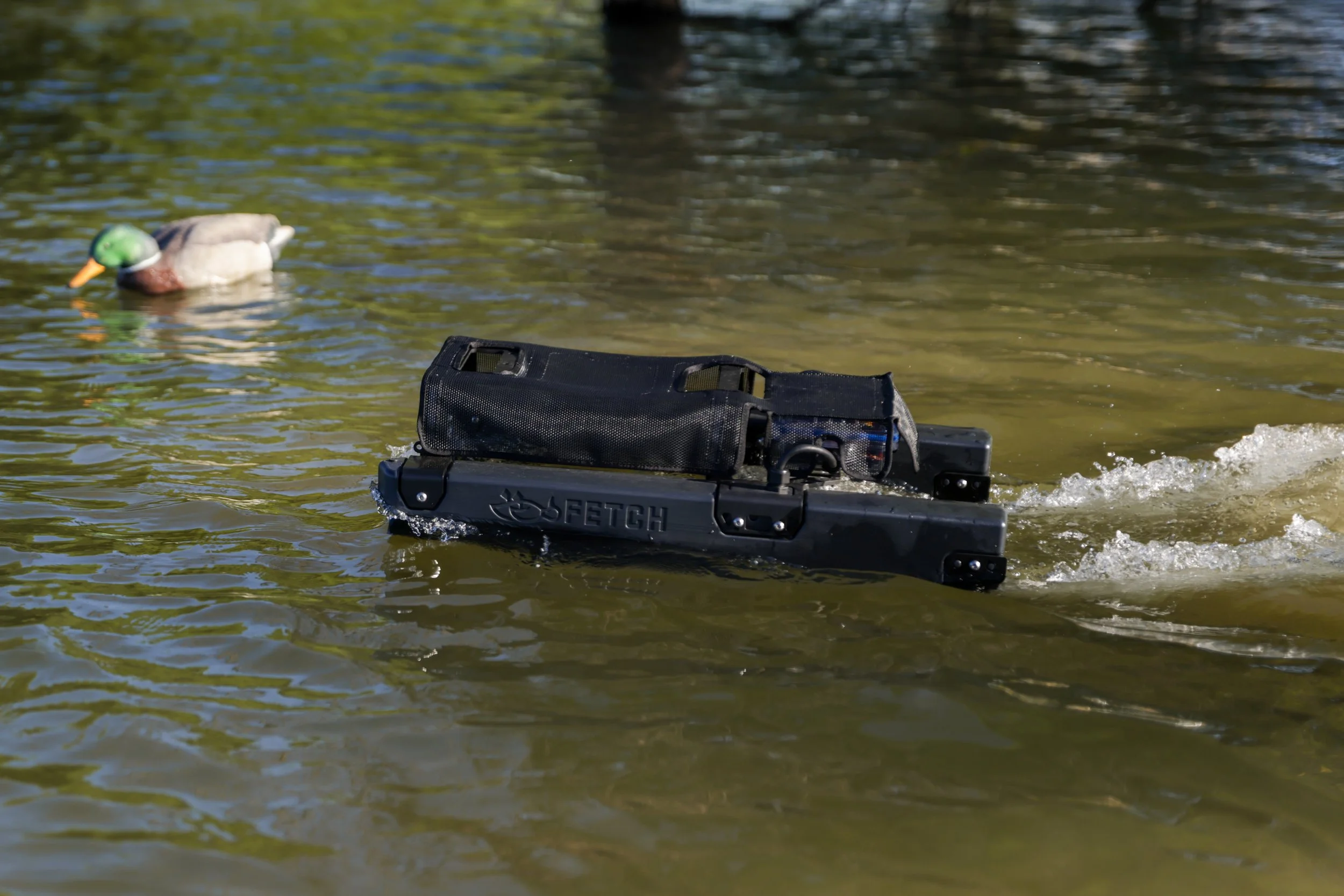 A duck decoy in a body of water in the background with a Fetch Waterfowl Retrieval System in the foreground.