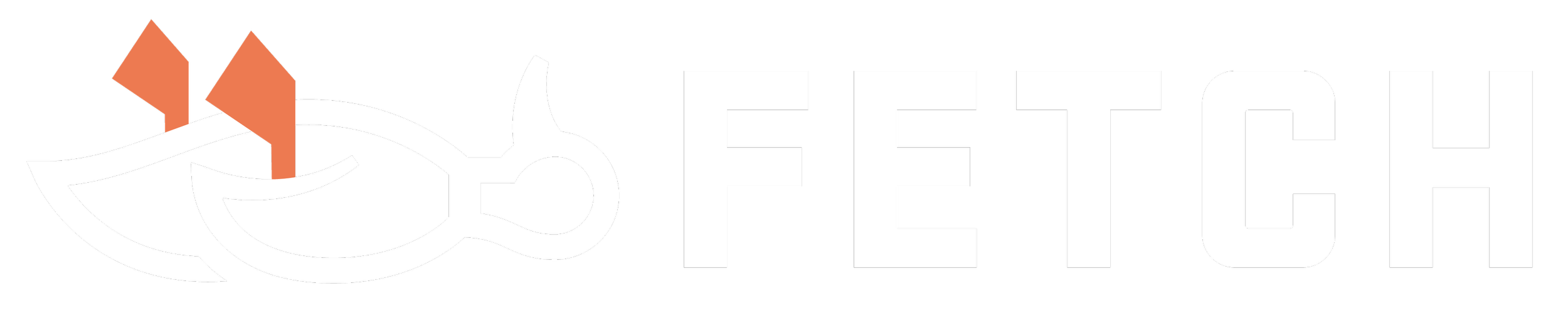 Logo with stylized duck and the word 'Fetch' in bold white letters.