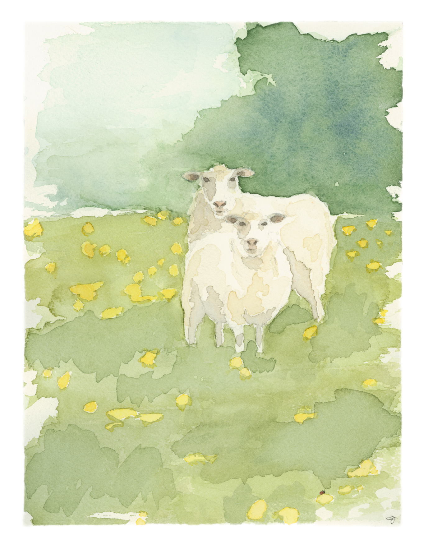 Little Dreamers