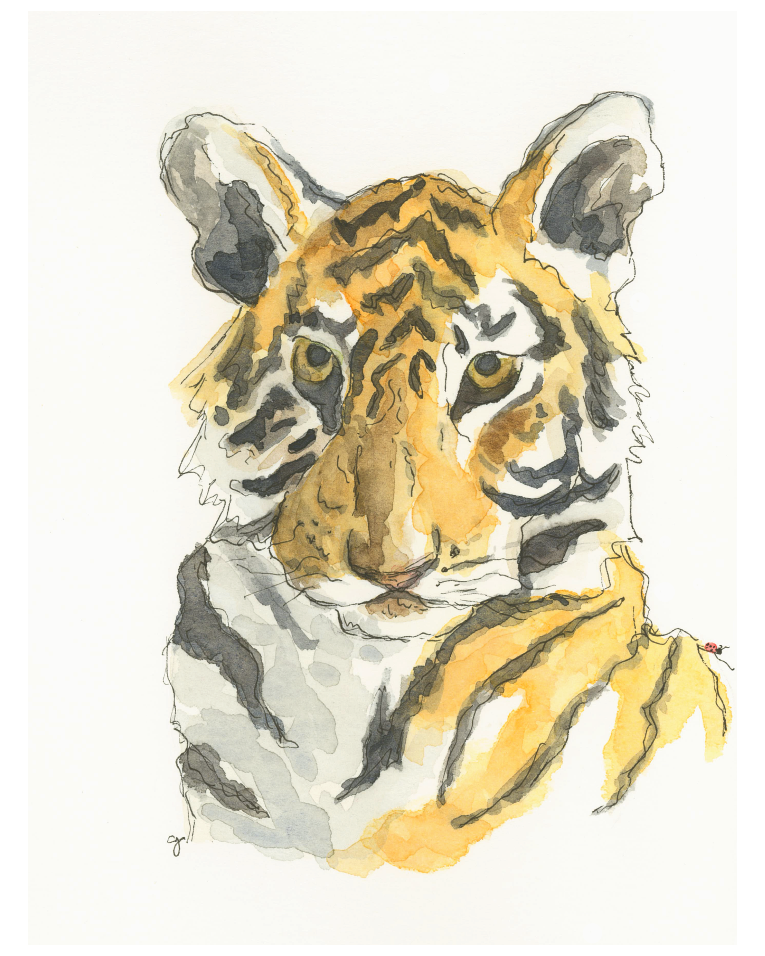 Kind Shere Khan
