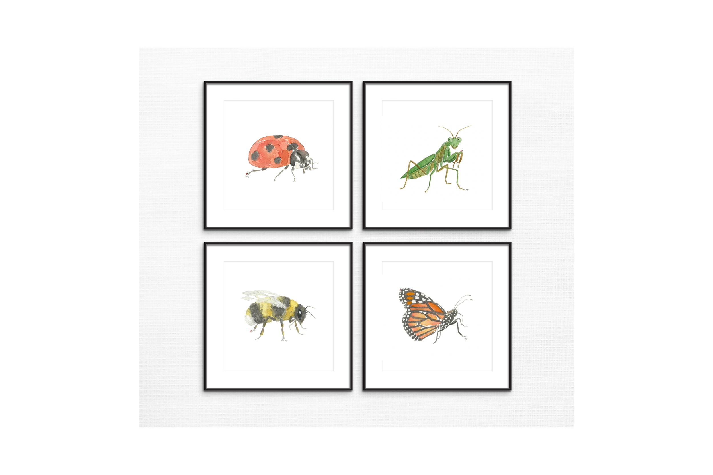 Bugs.png