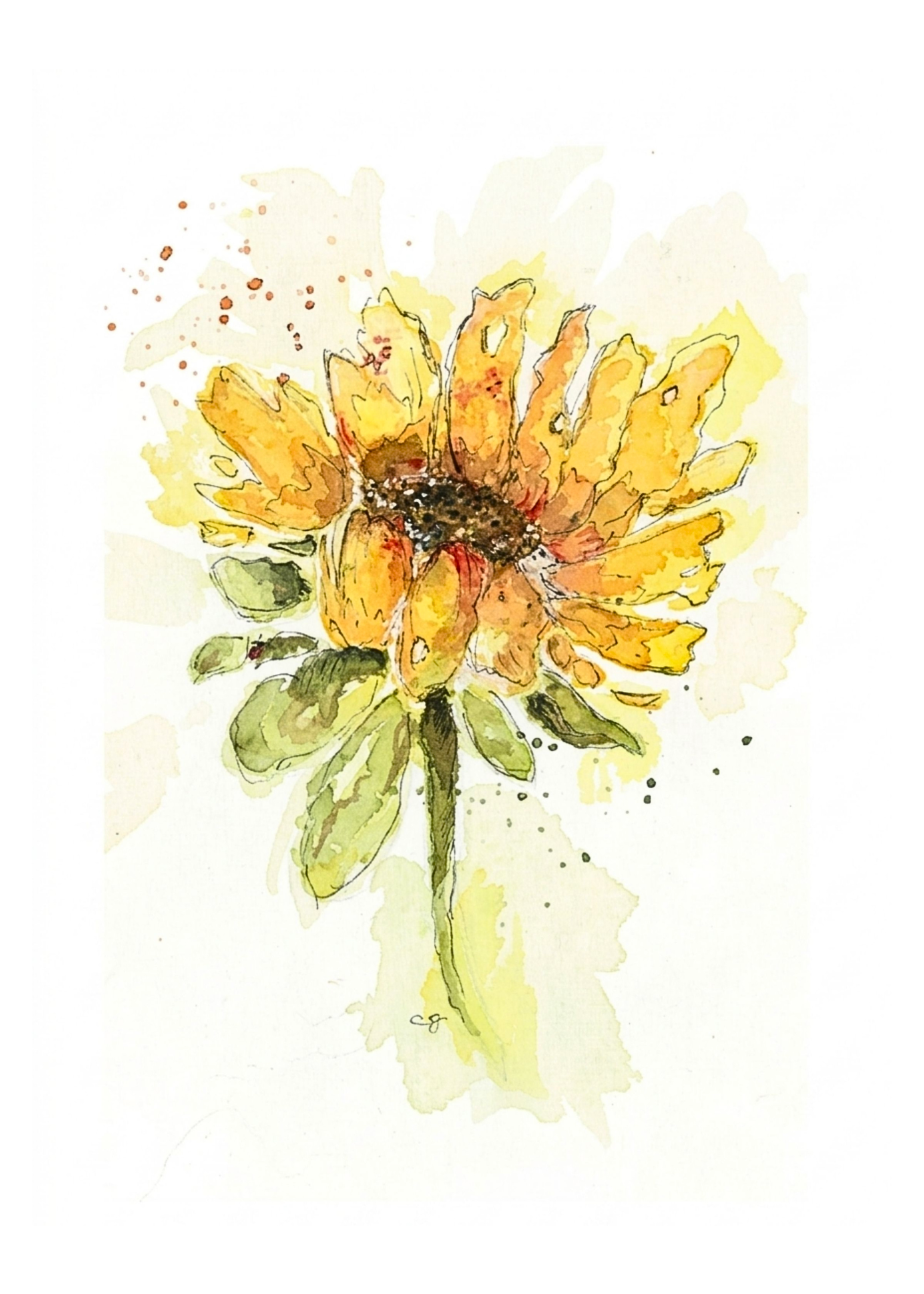 Sunflower no background.png