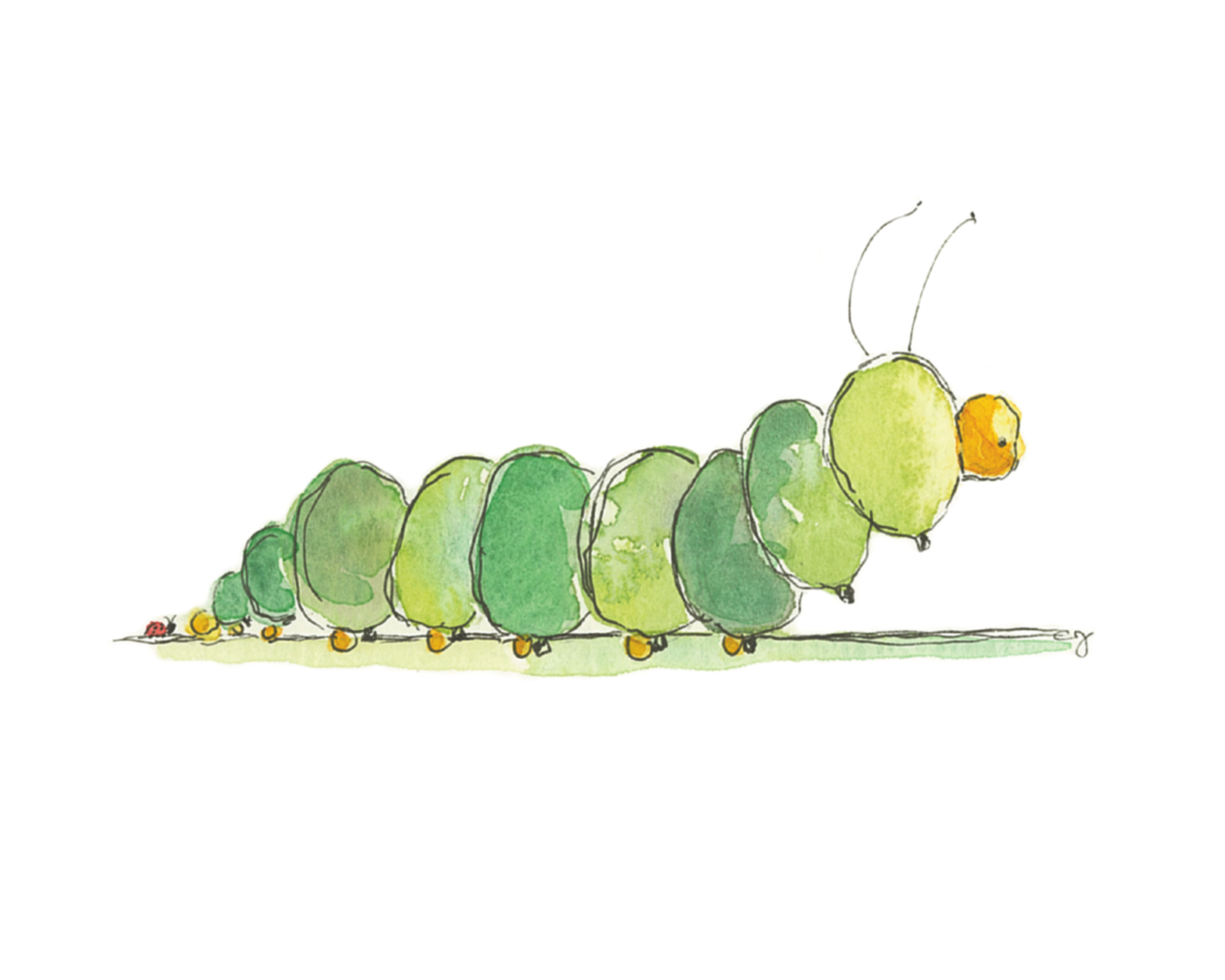Caterpillar