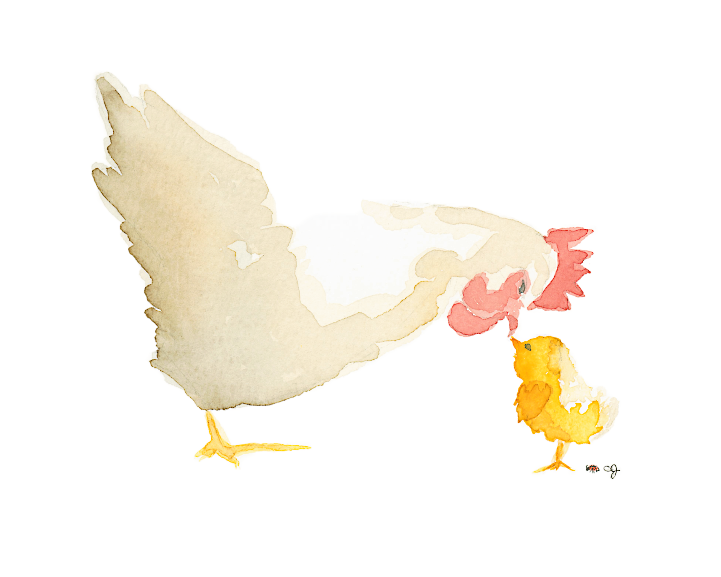 Hen & Chick
