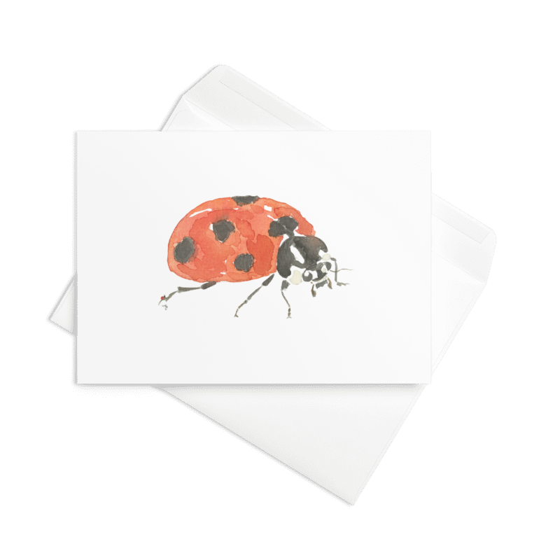 Ladybug Close Up - Greeting Card