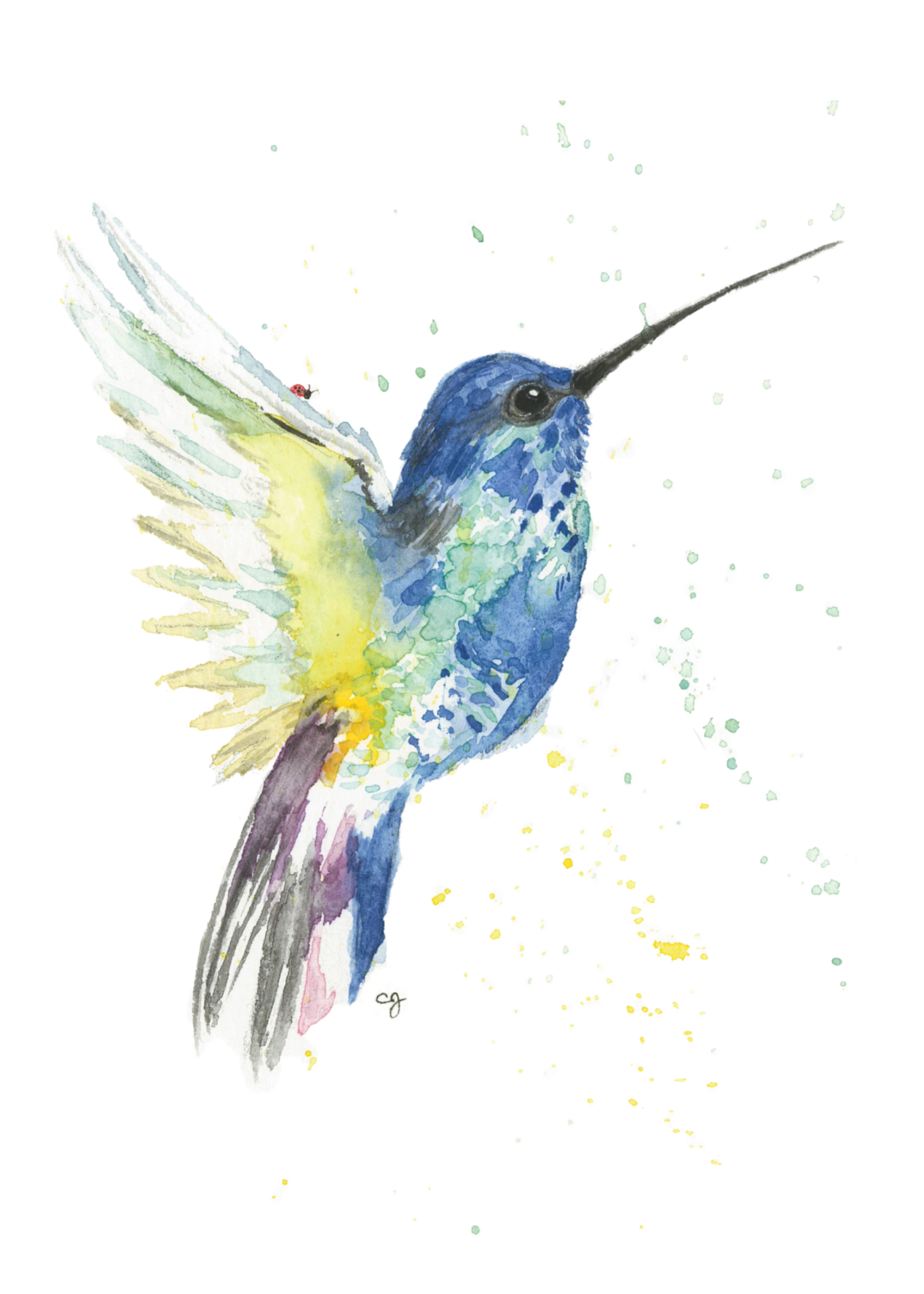 0058-Sustain (Hummingbird) (5x7)-FINAL-Affinity.png