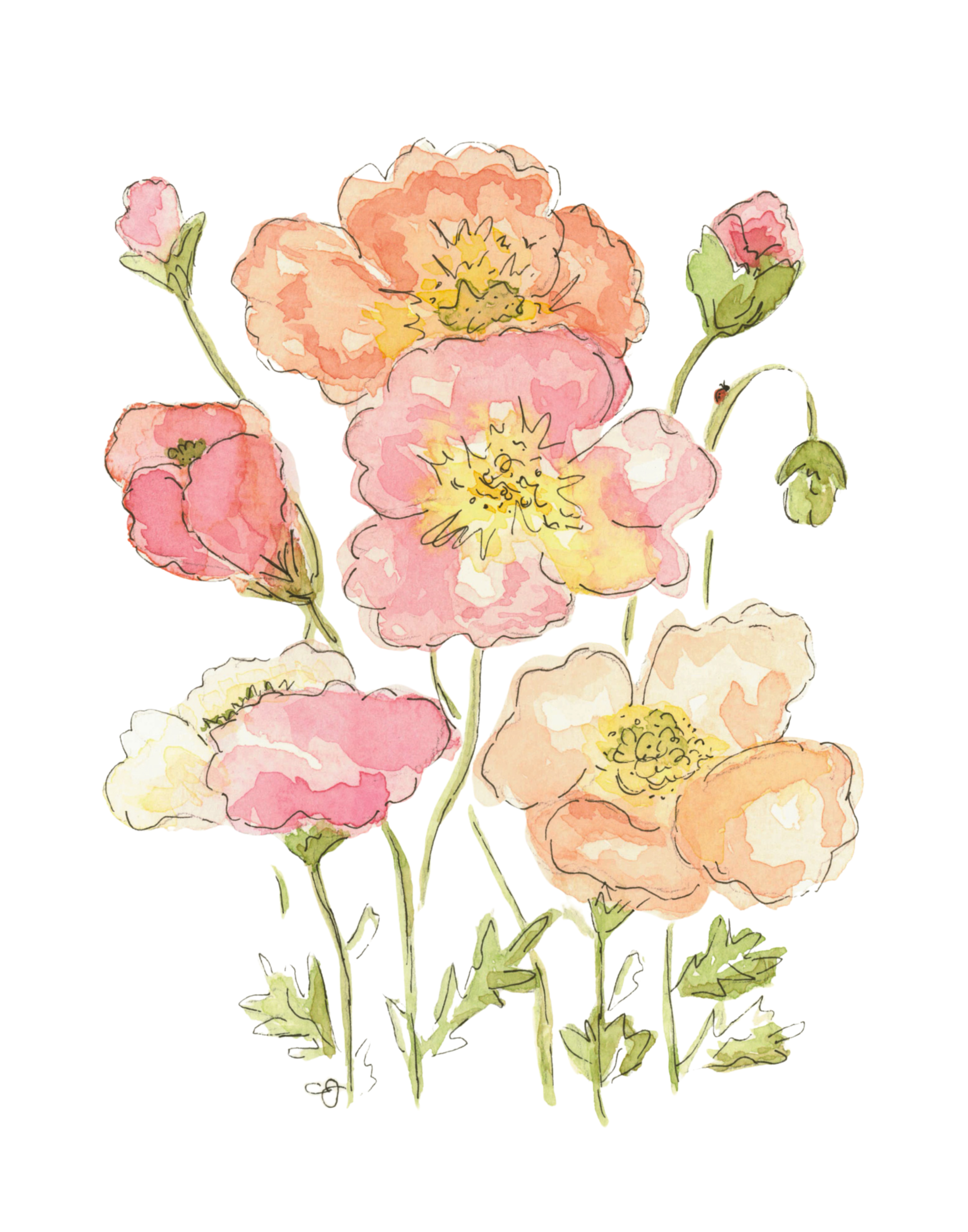 Poppies Will Make Them Sleep