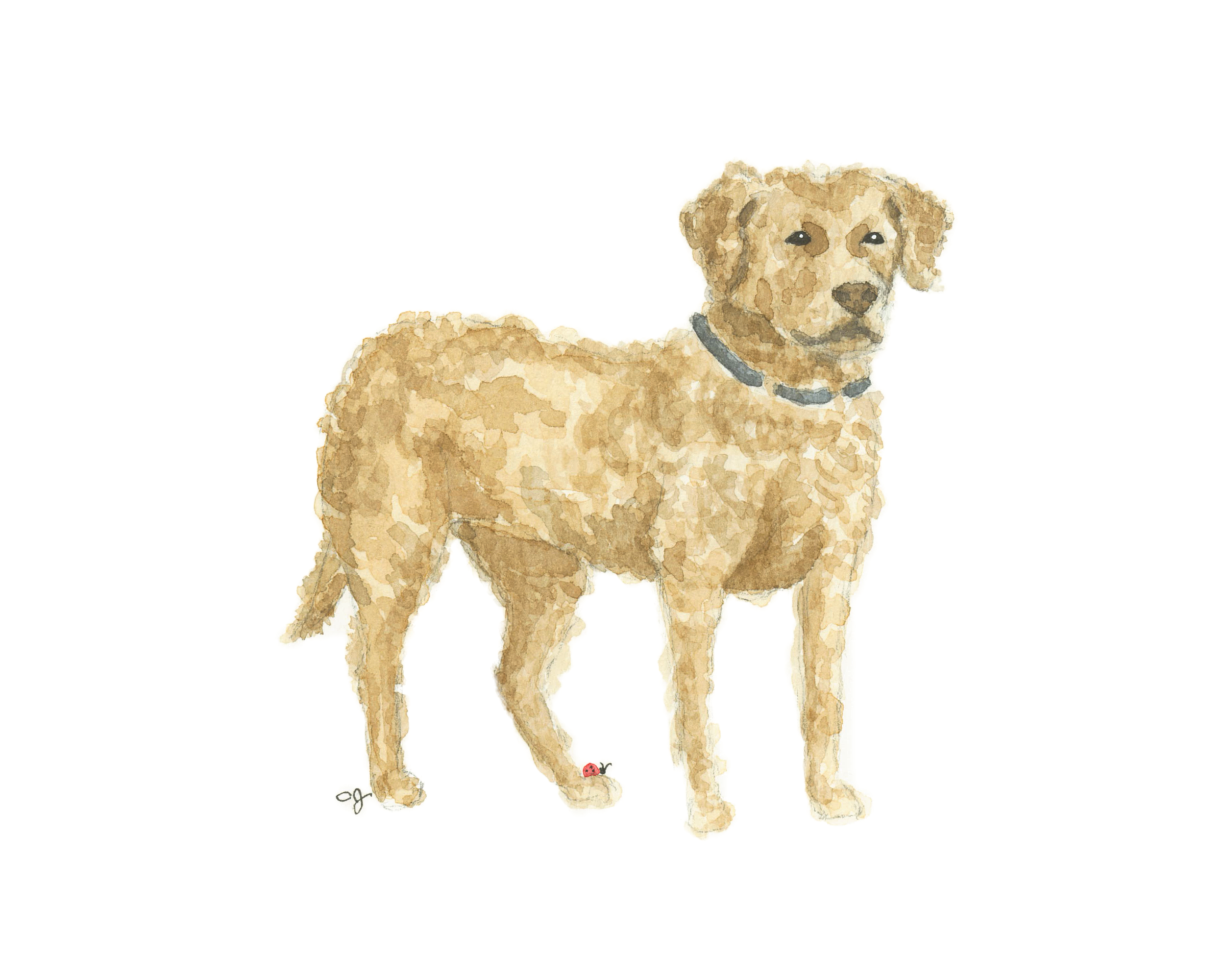 Chessie