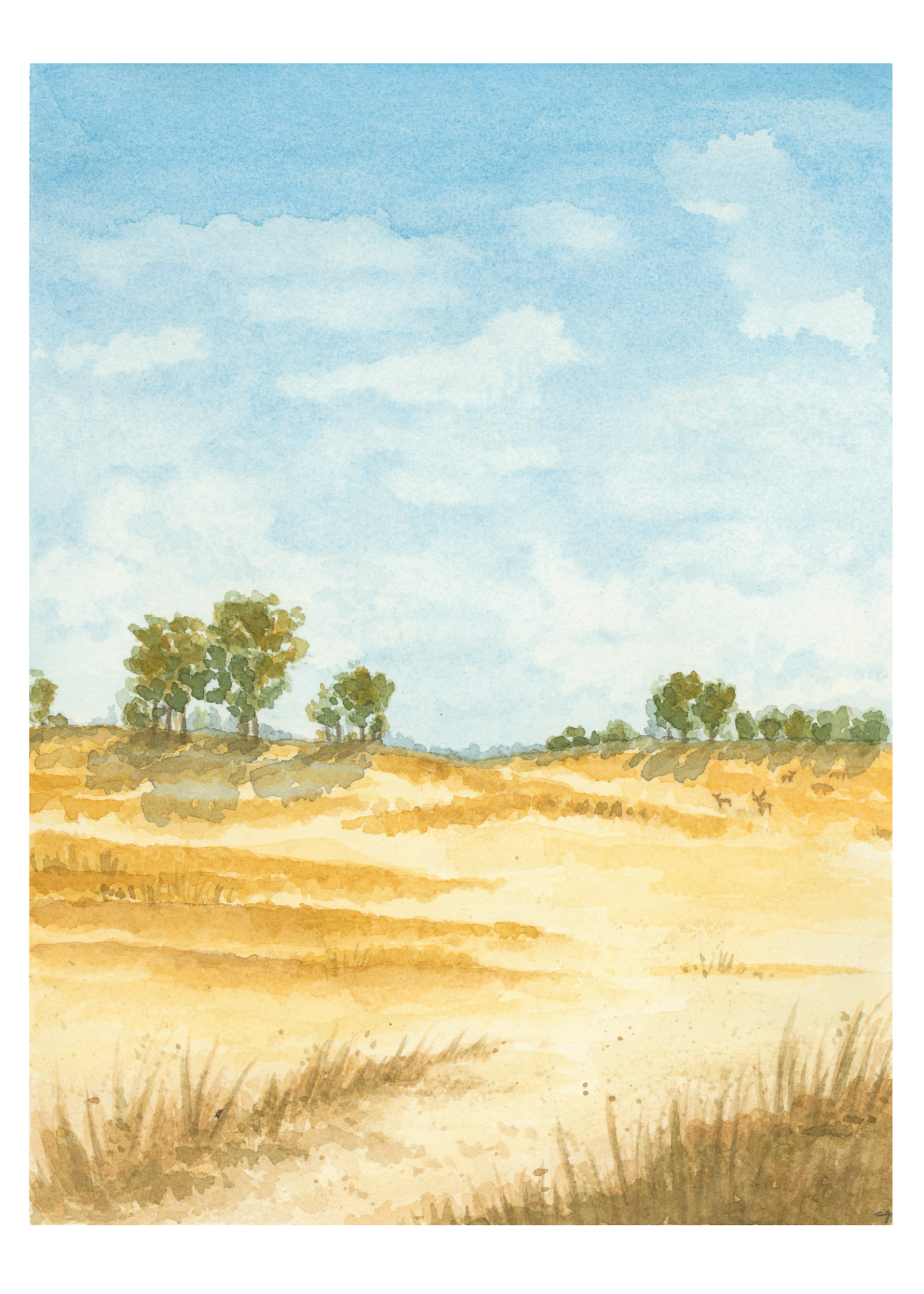0055-Meadowbeach (5x7)-FINAL-Affinity.png