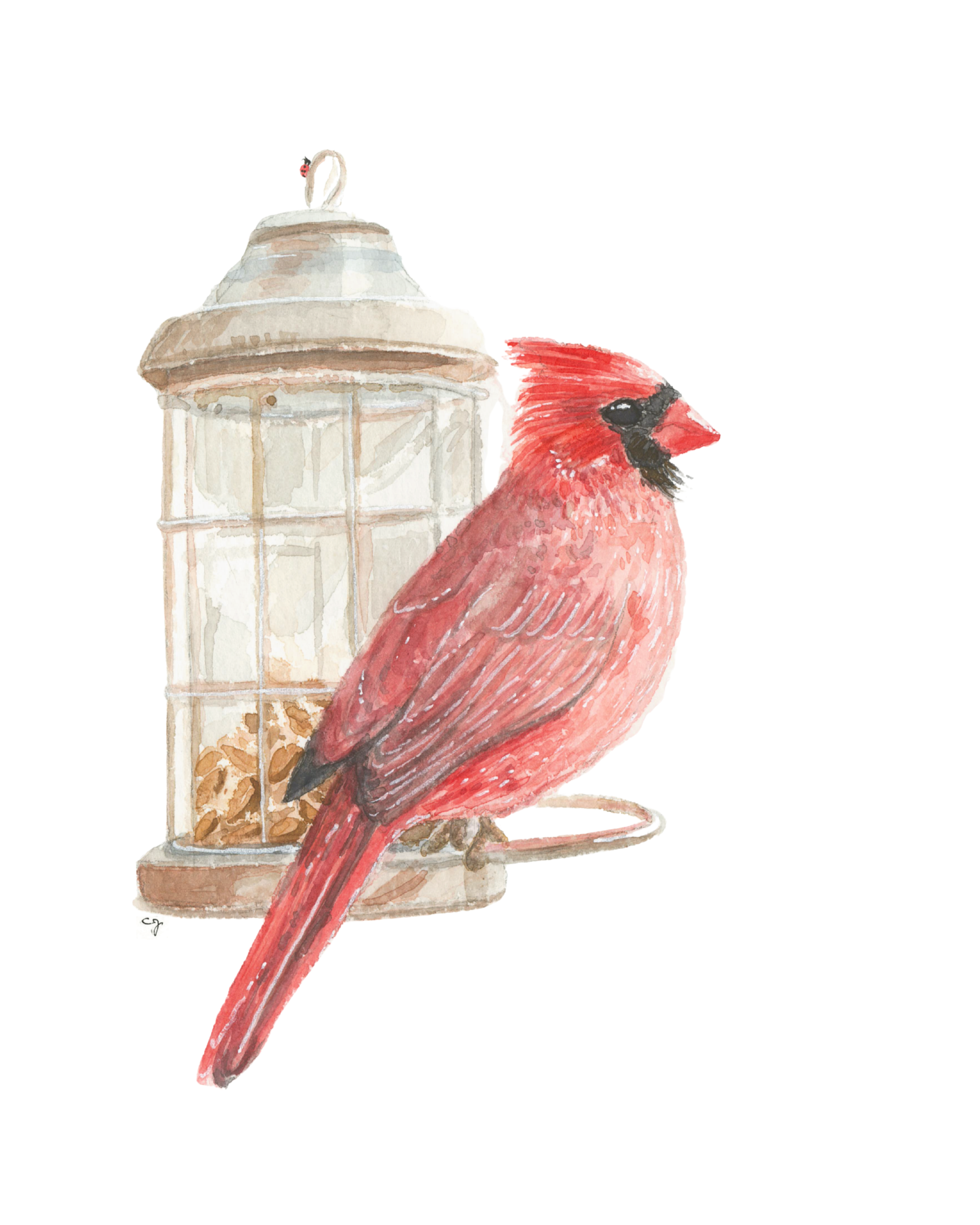 Cardinal