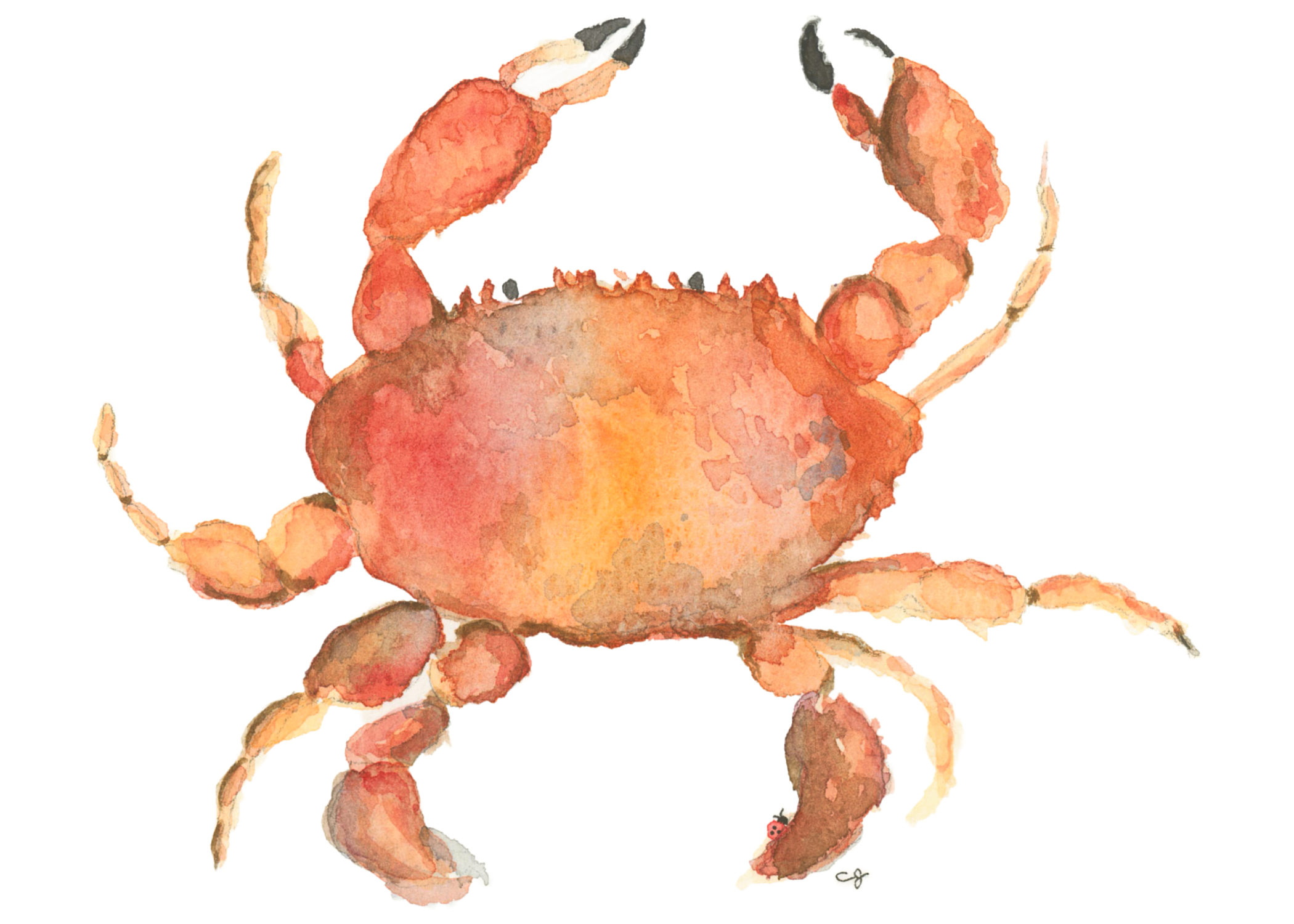 0012-We Got Crabs (5x7)-FINAL-Affinity.png