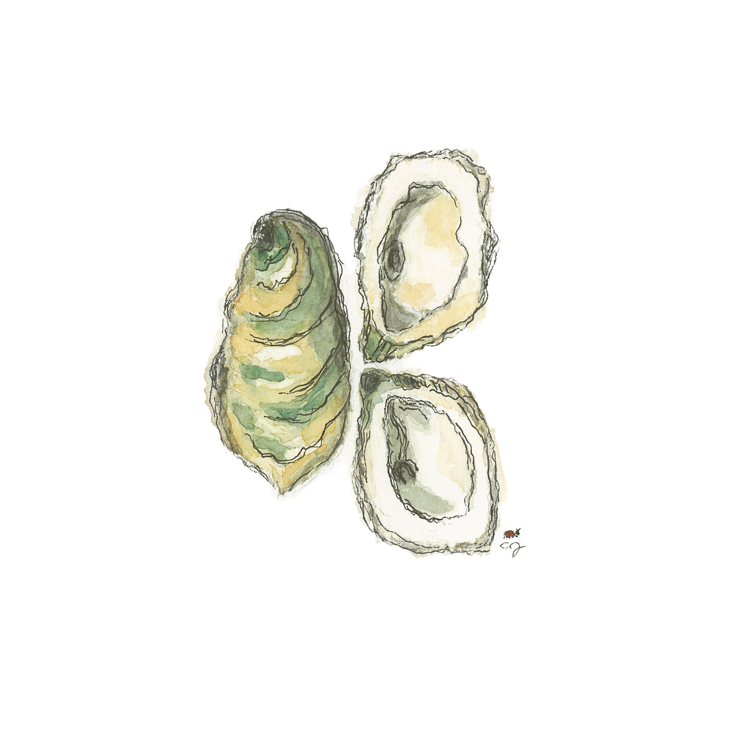 Buck a Shuck