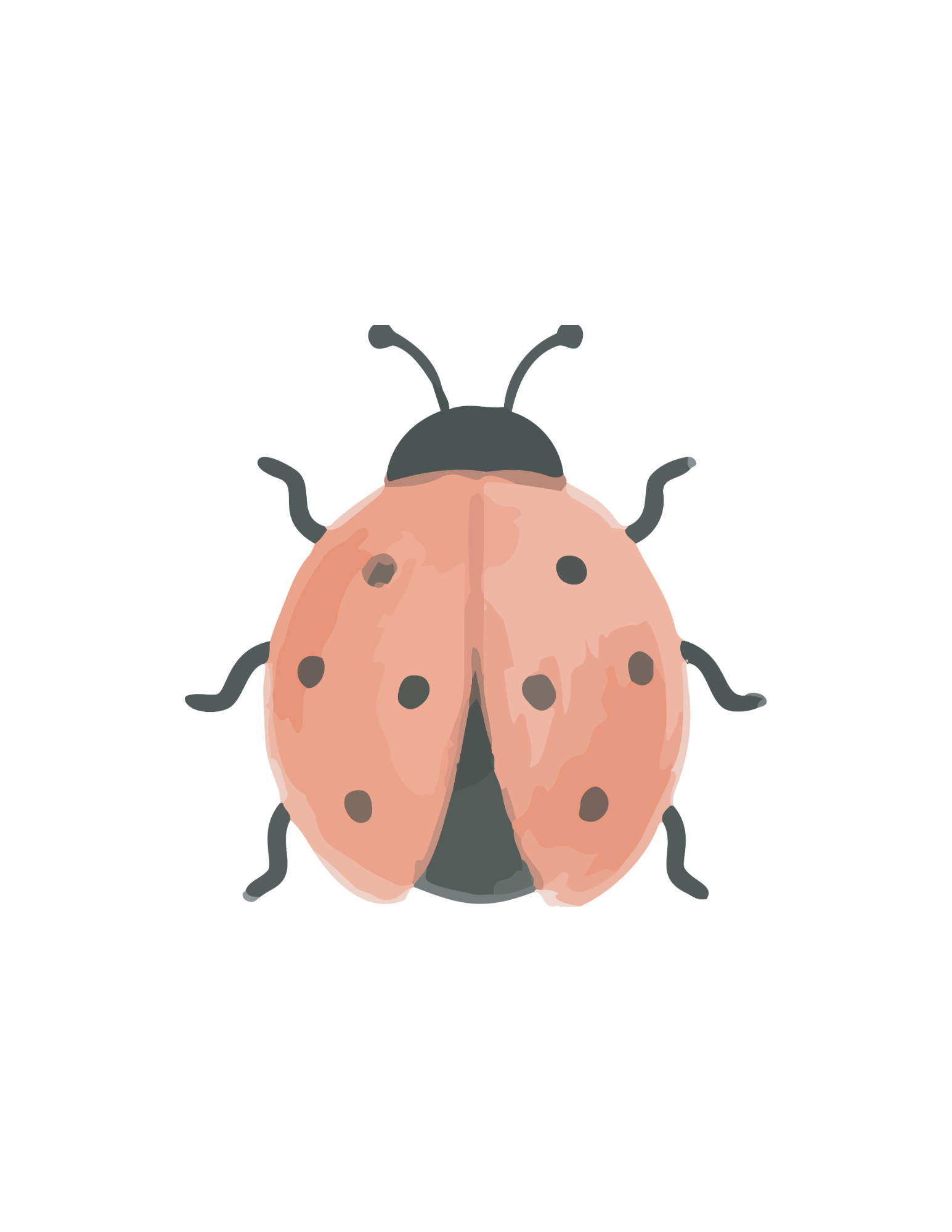 A cartoon ladybug with a pinkish-orange shell and black spots, black head, and six black legs.