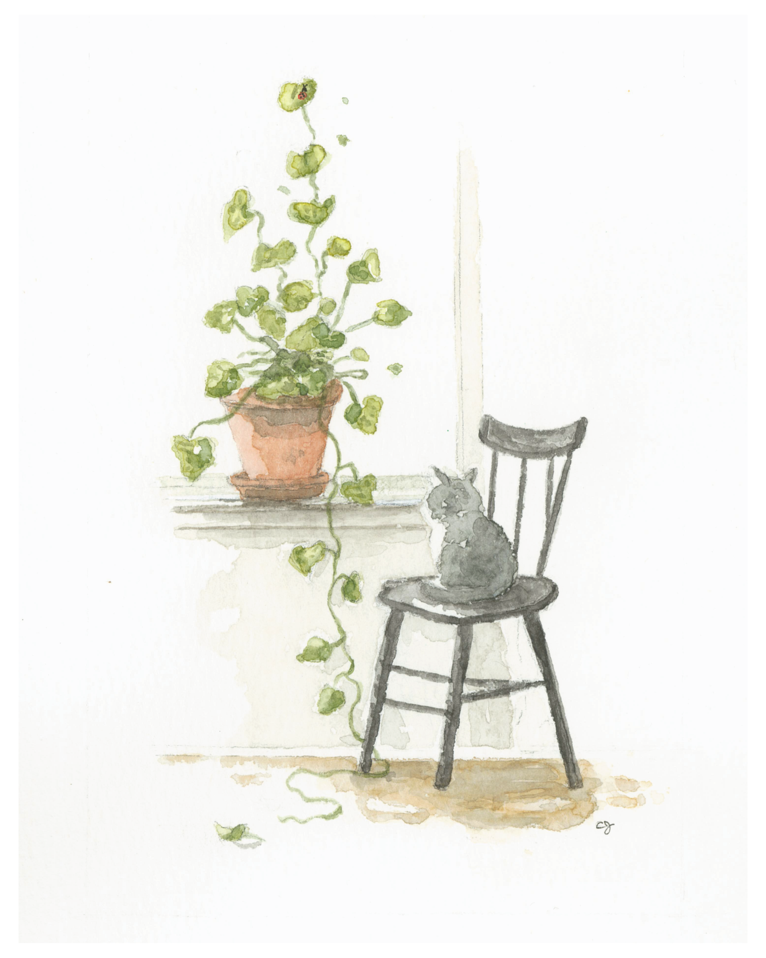 Cassum on Chair