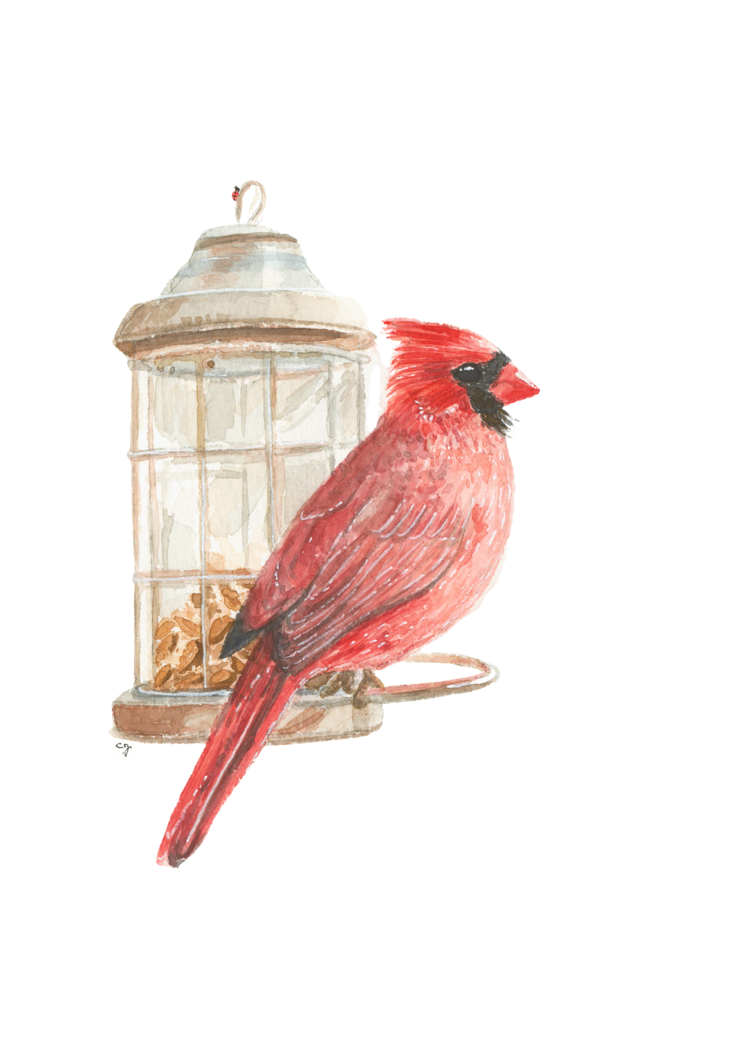0008-Cardinal (5x7)-FINAL-Affinity.png