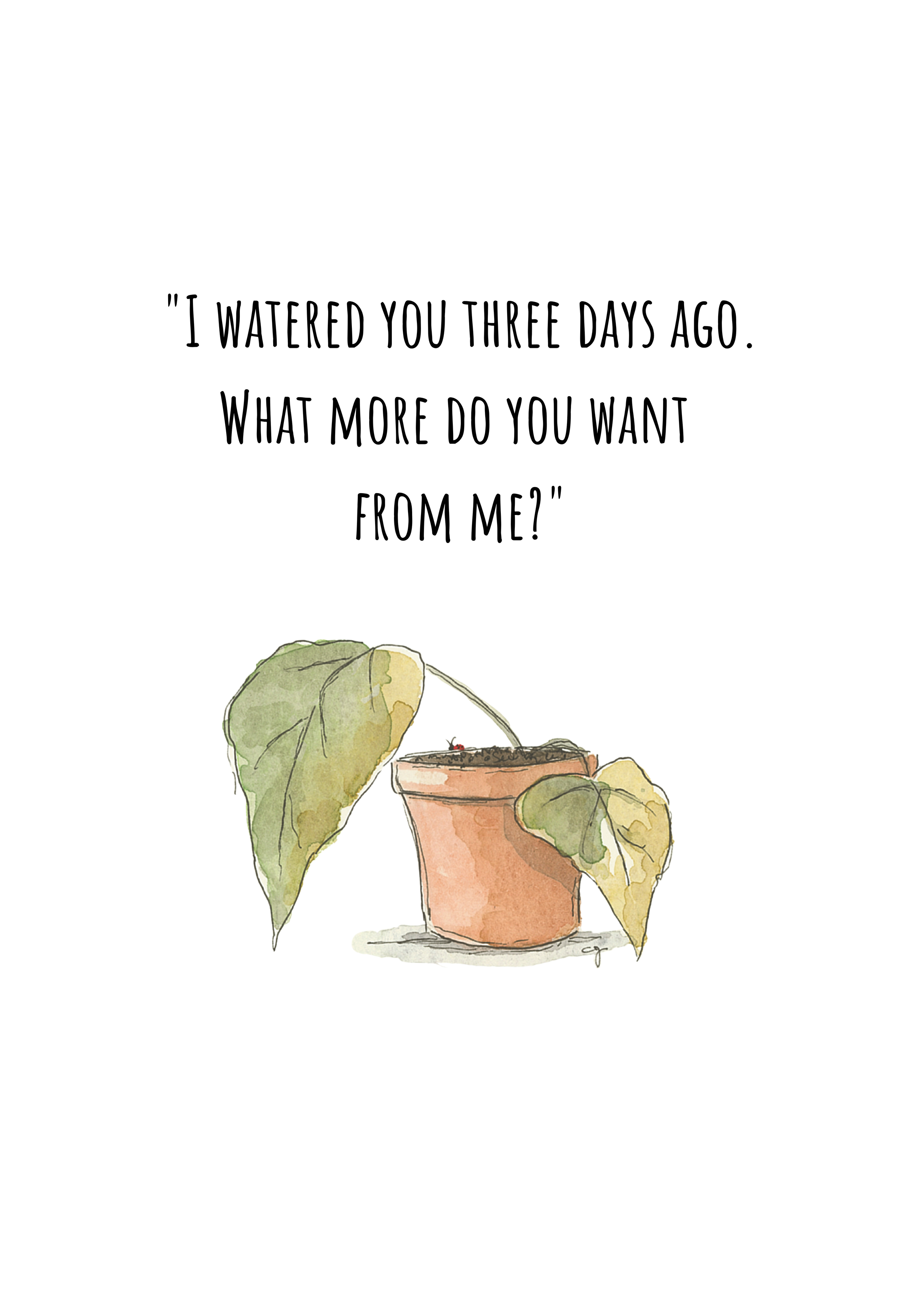 Houseplant - Outside - Small.png
