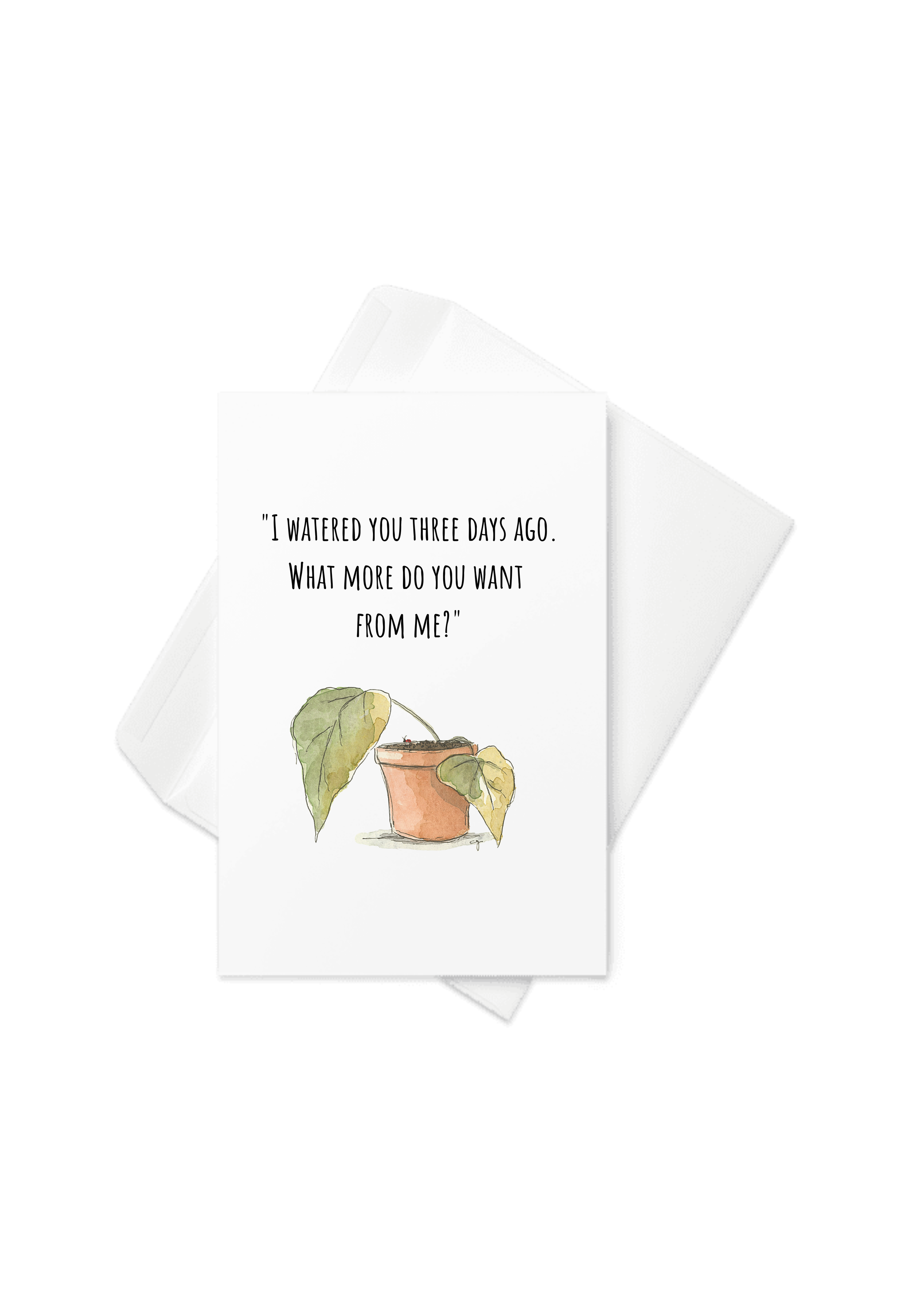 Houseplant