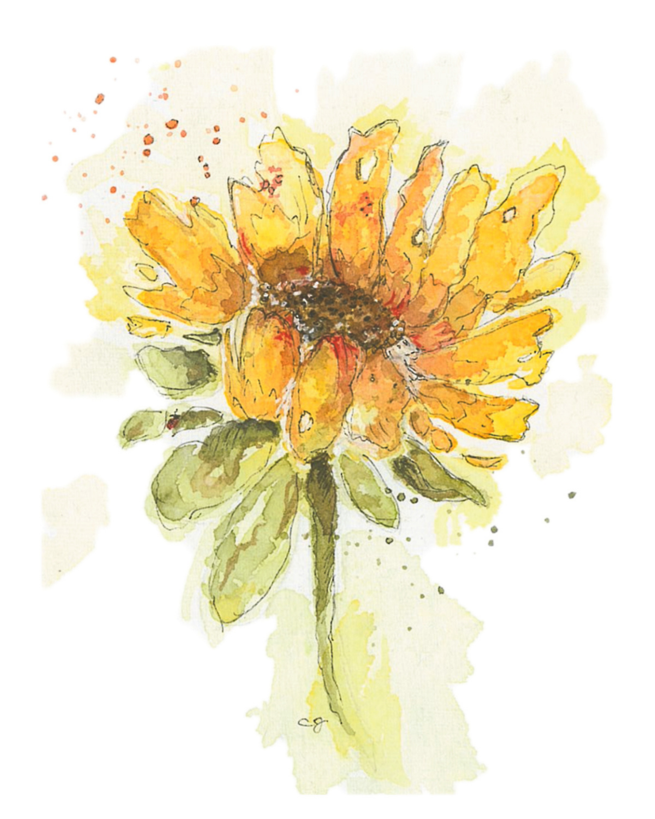 Wynn's Flower (Sunflower)