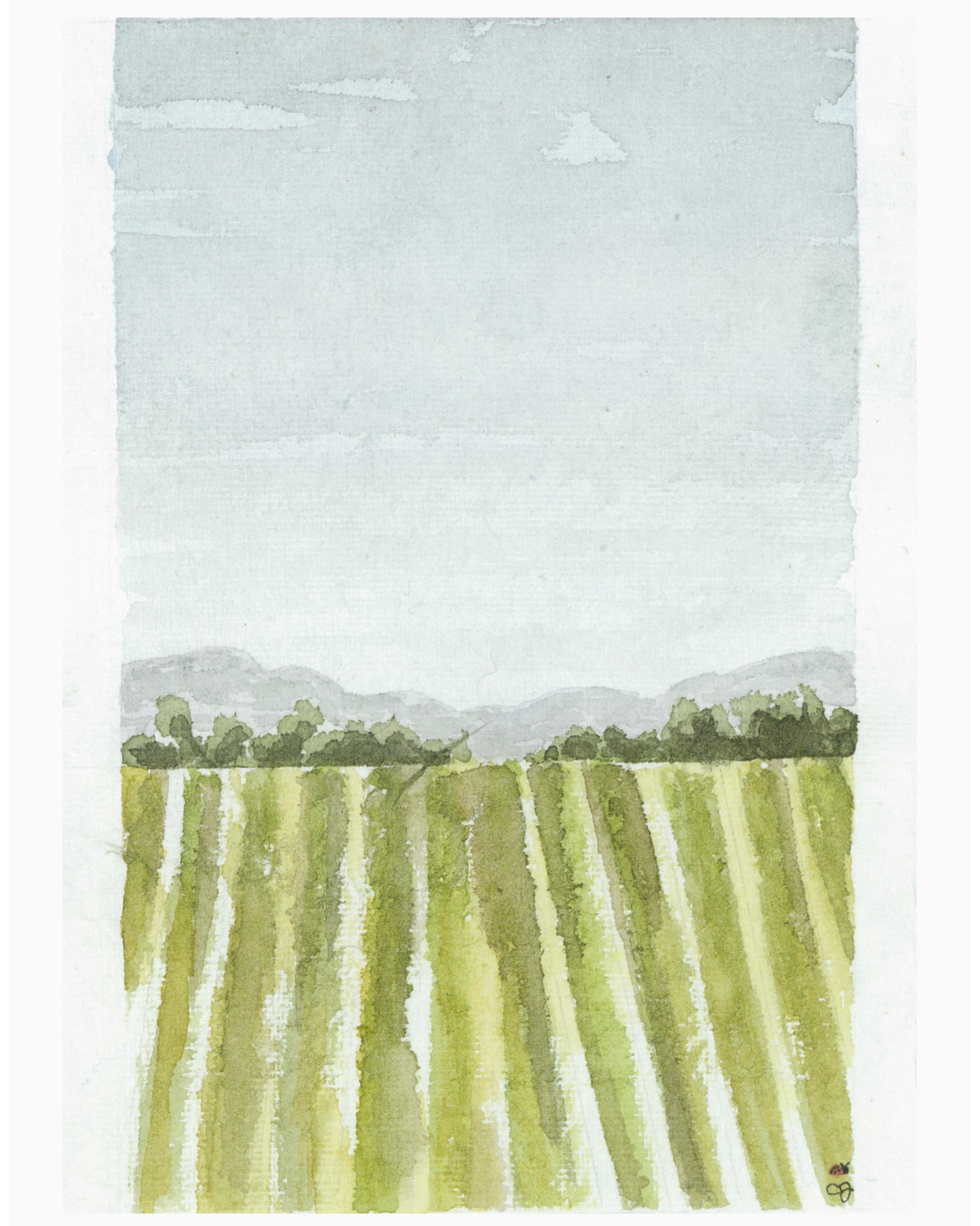 Soybean