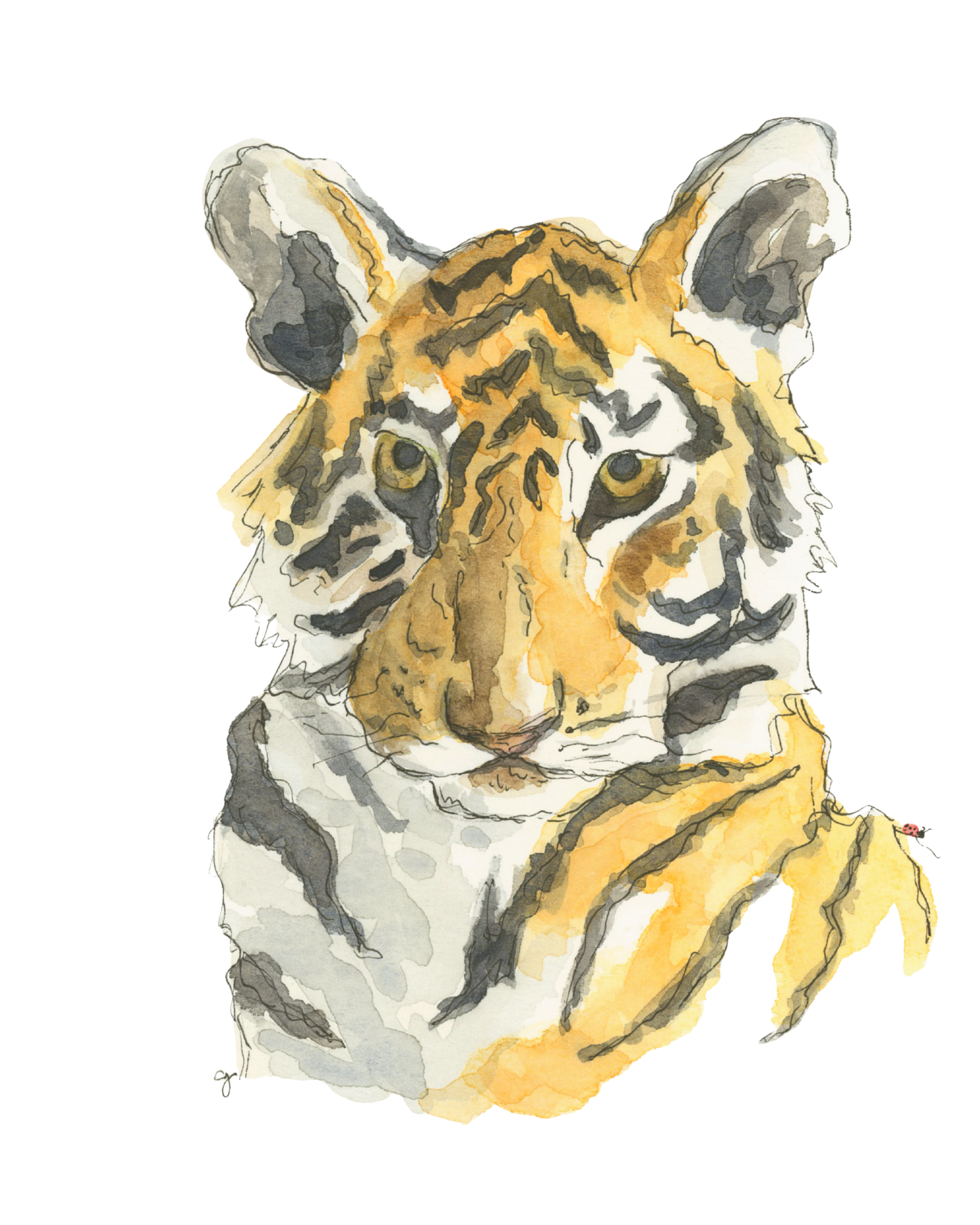 Kind Shere Khan