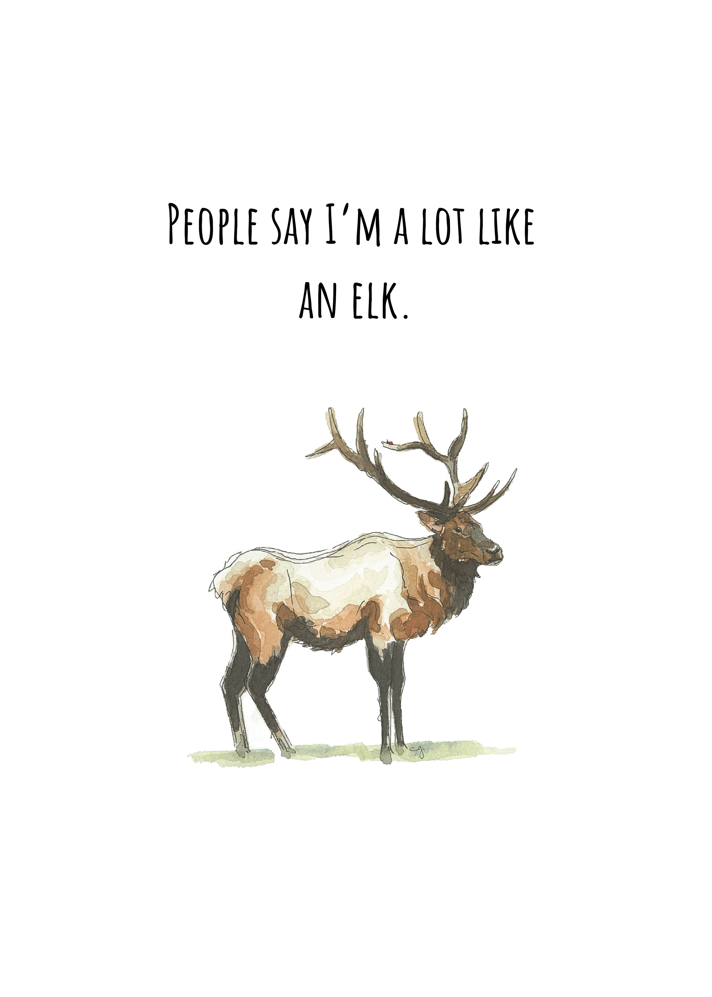 Elk - Outside - Small.png