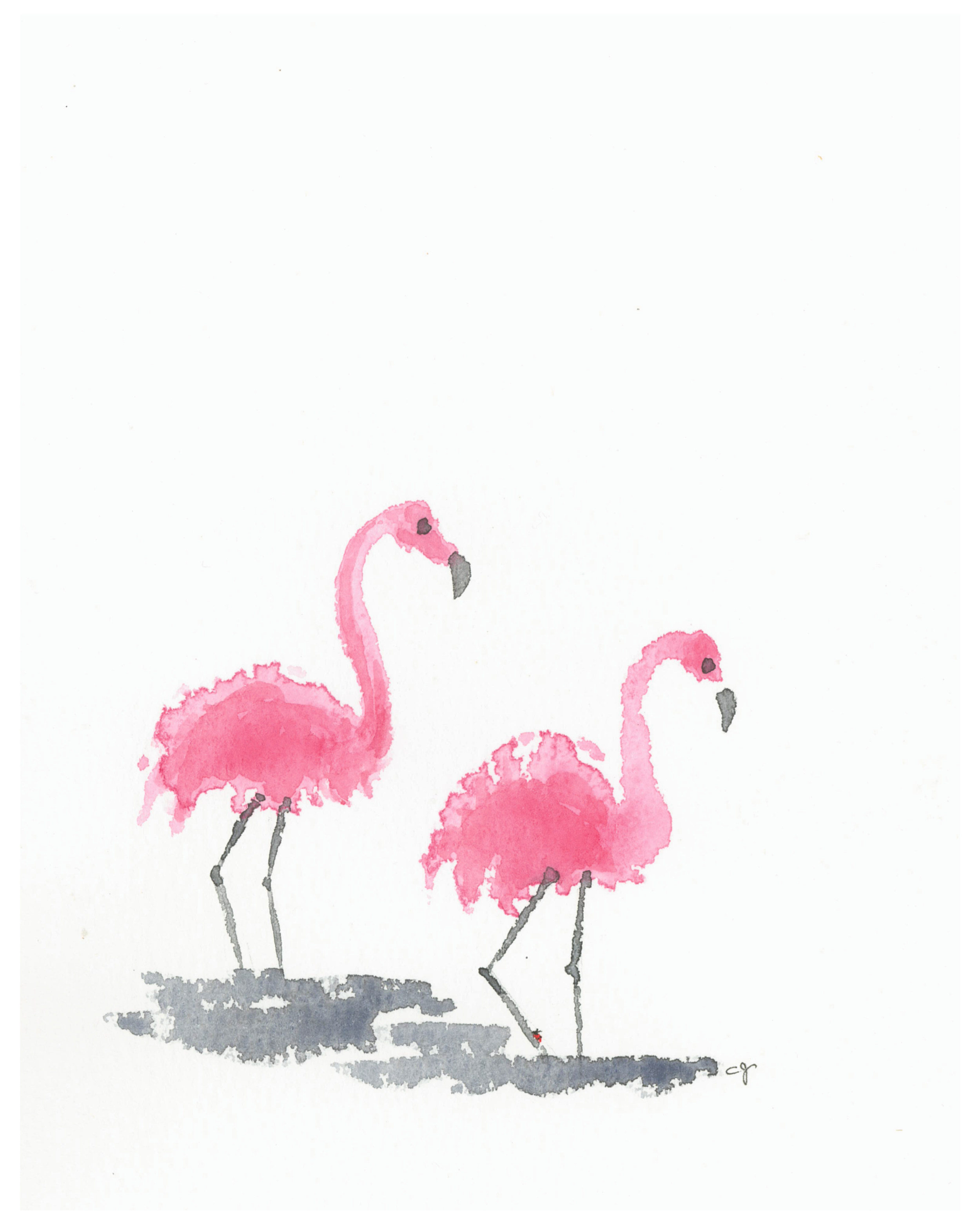 Flamingo Waltz