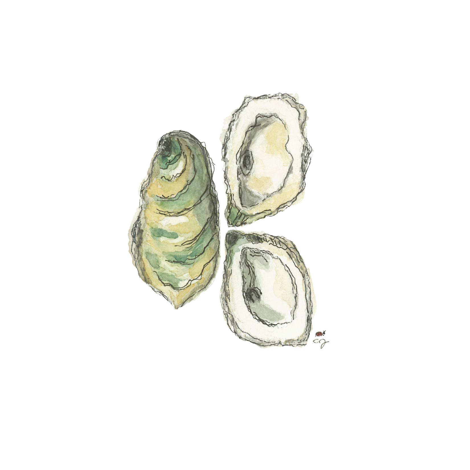 Buck a Shuck background removed.png