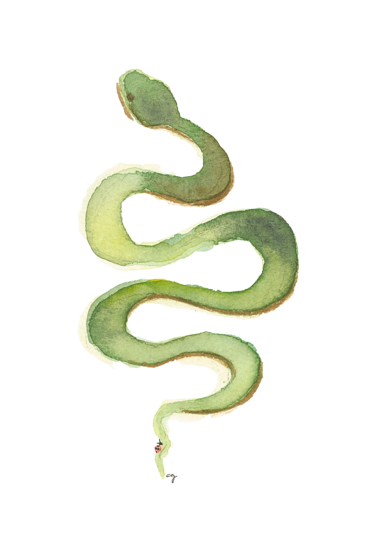 0043-Mamba (5x7)-FINAL-Affinity.png
