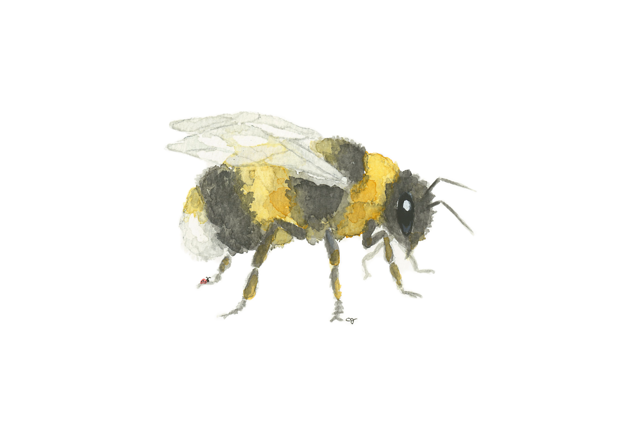 0002-Bumble Bee Up (5x7)-FINAL-Affinity.png