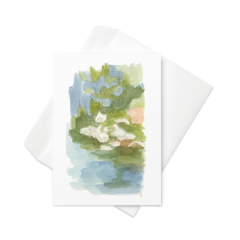 Duck, Duck, Rock - Greeting Card