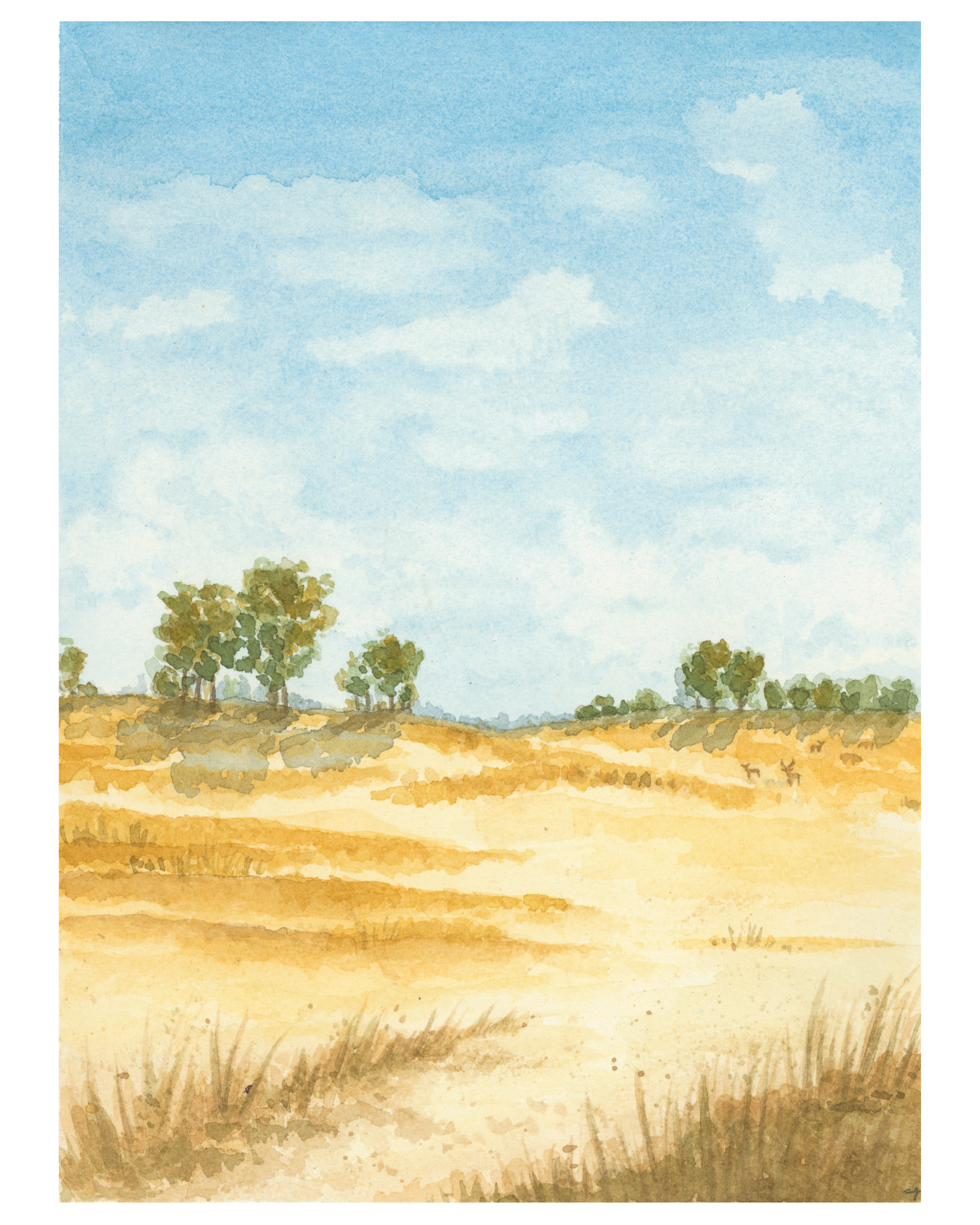 Meadowbeach