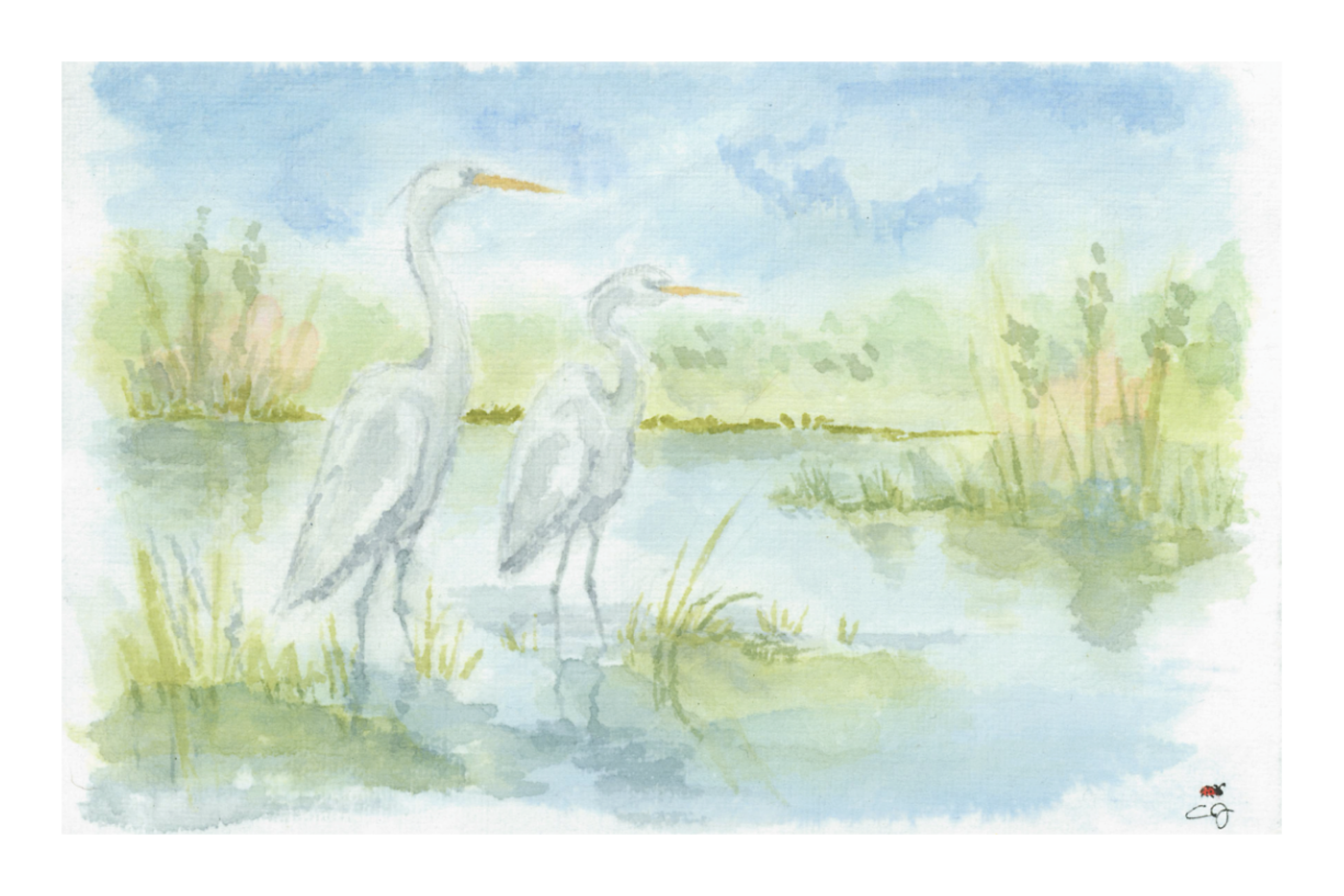Egrets