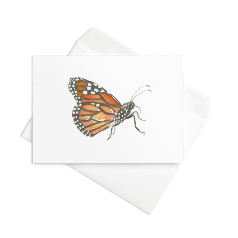 Monarch Close Up - Greeting Card