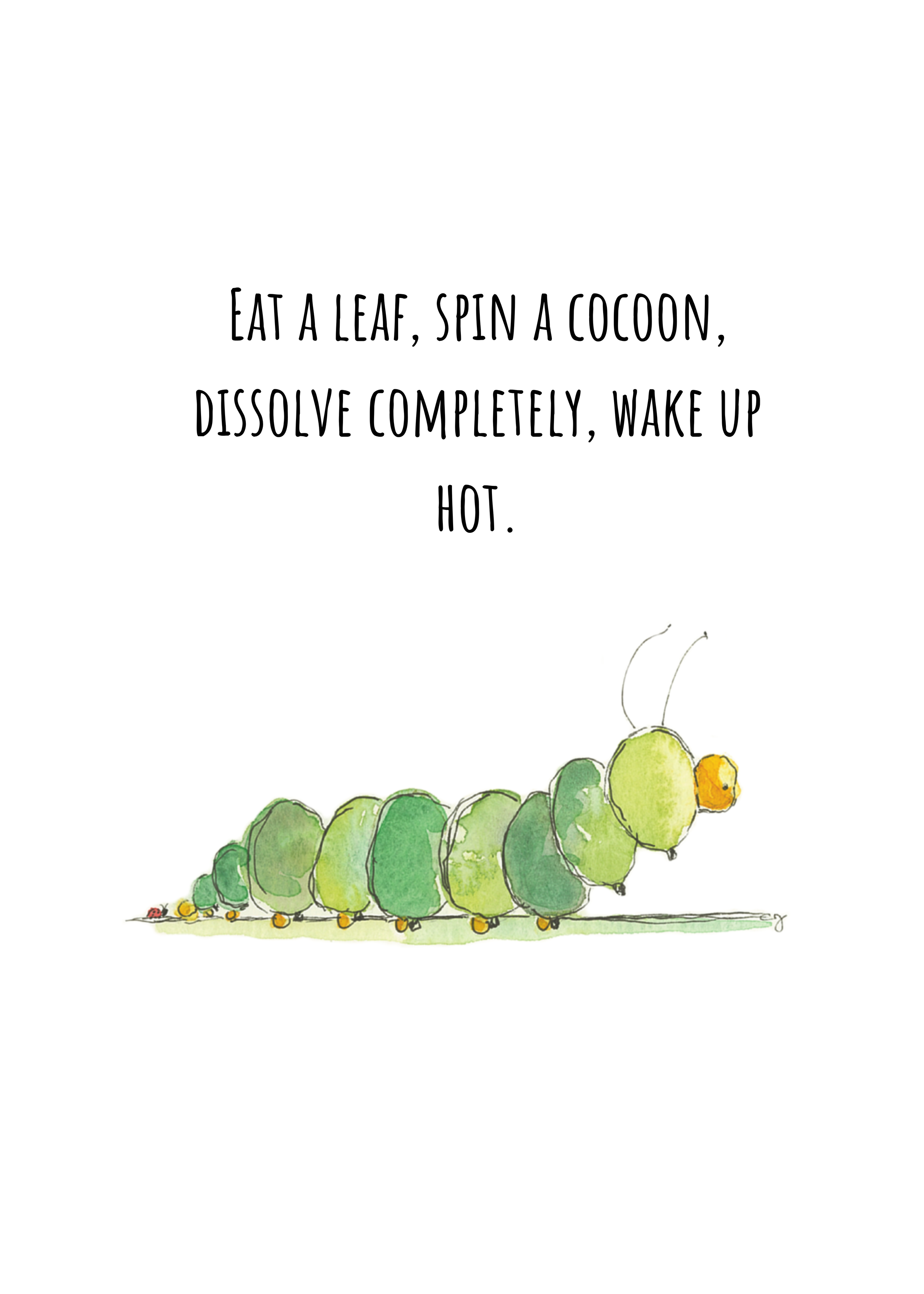 Cocoon - Outside - Small.png